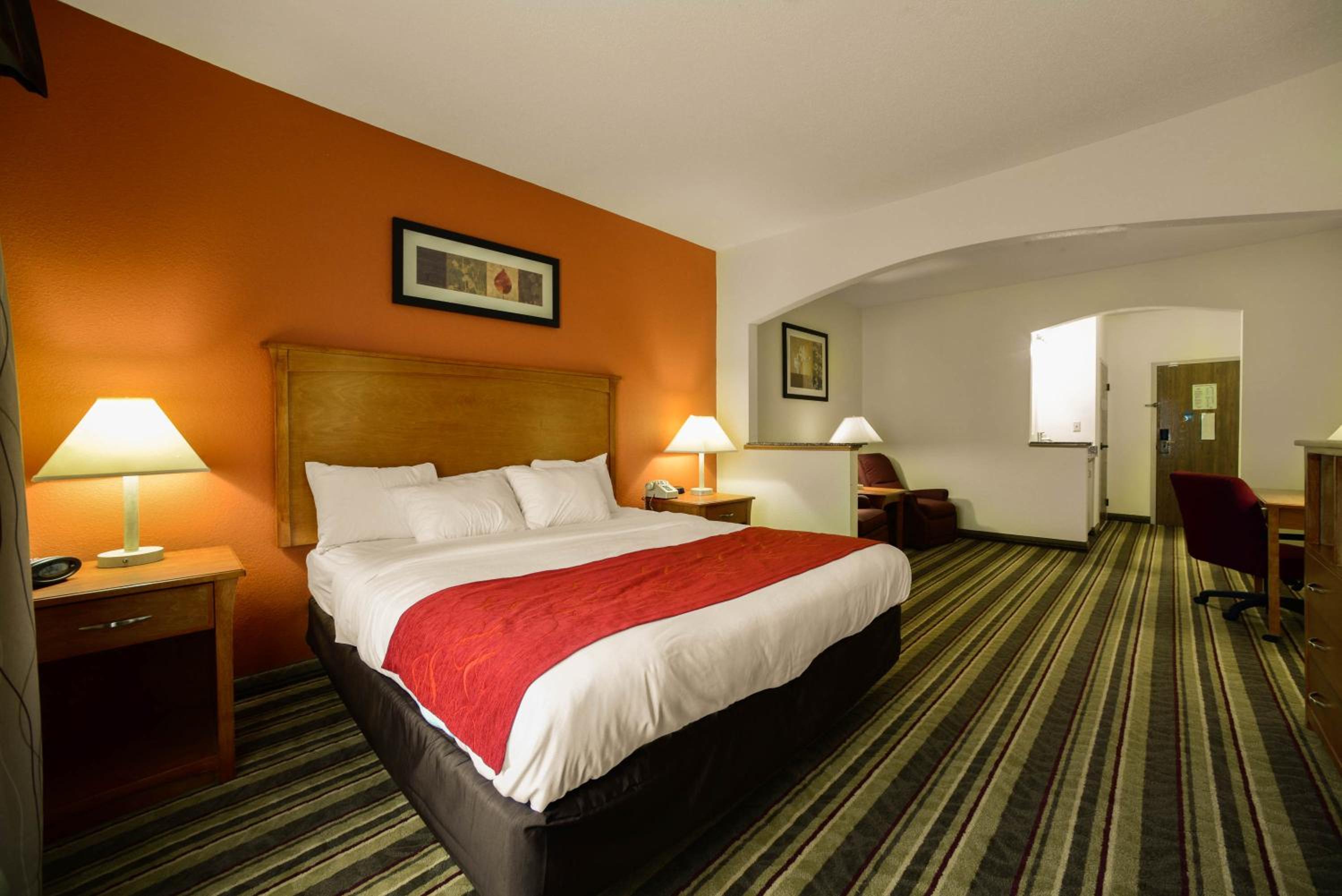 King Suite with Walk-in Shower - Accessible/Non-Smoking - Photo 1