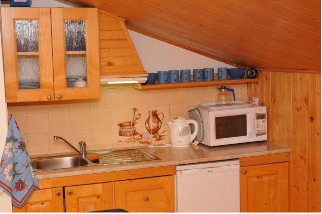 One-Bedroom Apartment (3 Adults) photo 1
