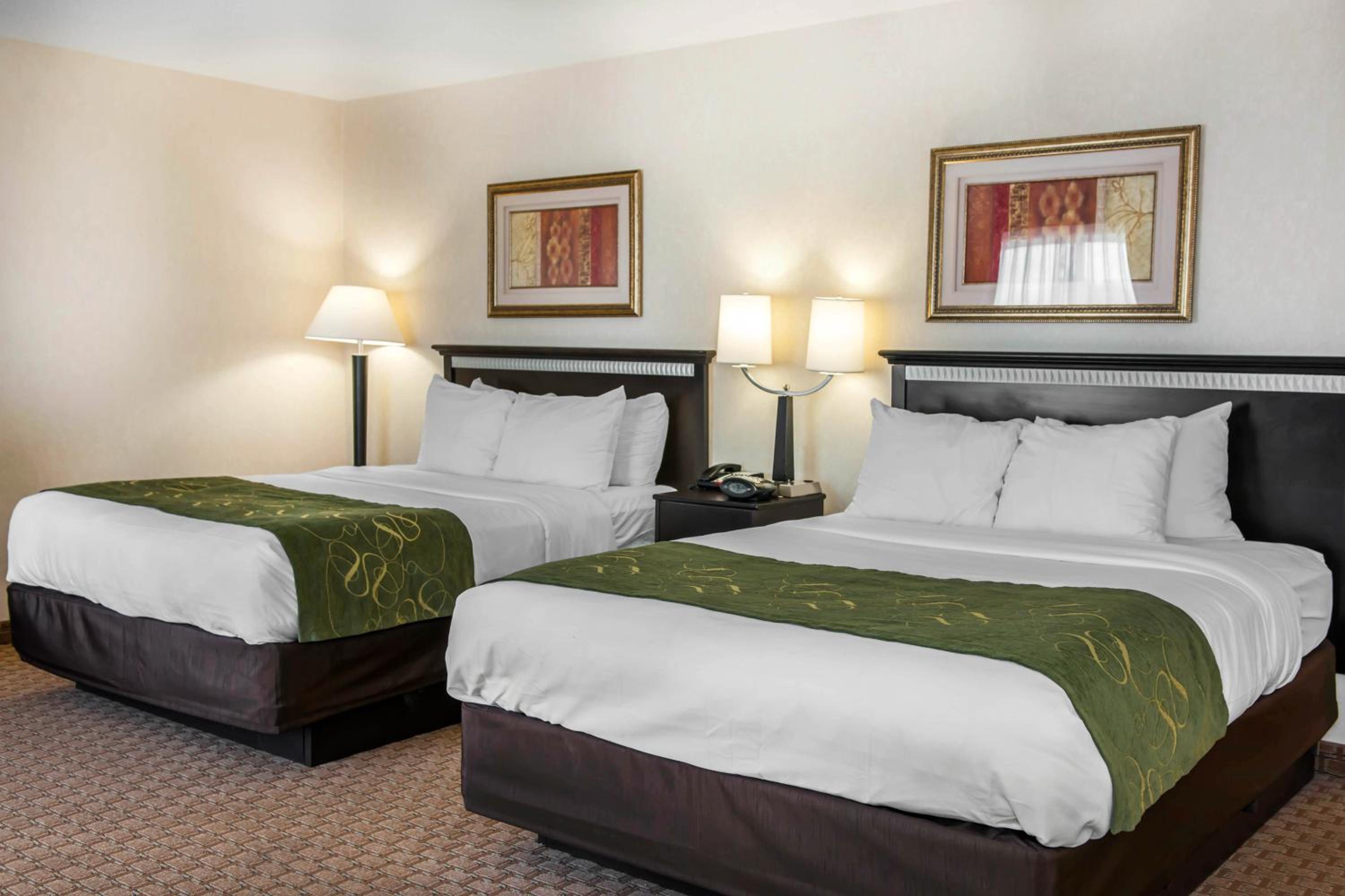 Queen Suite with Two Queen Beds - Non-Smoking - Photo 14