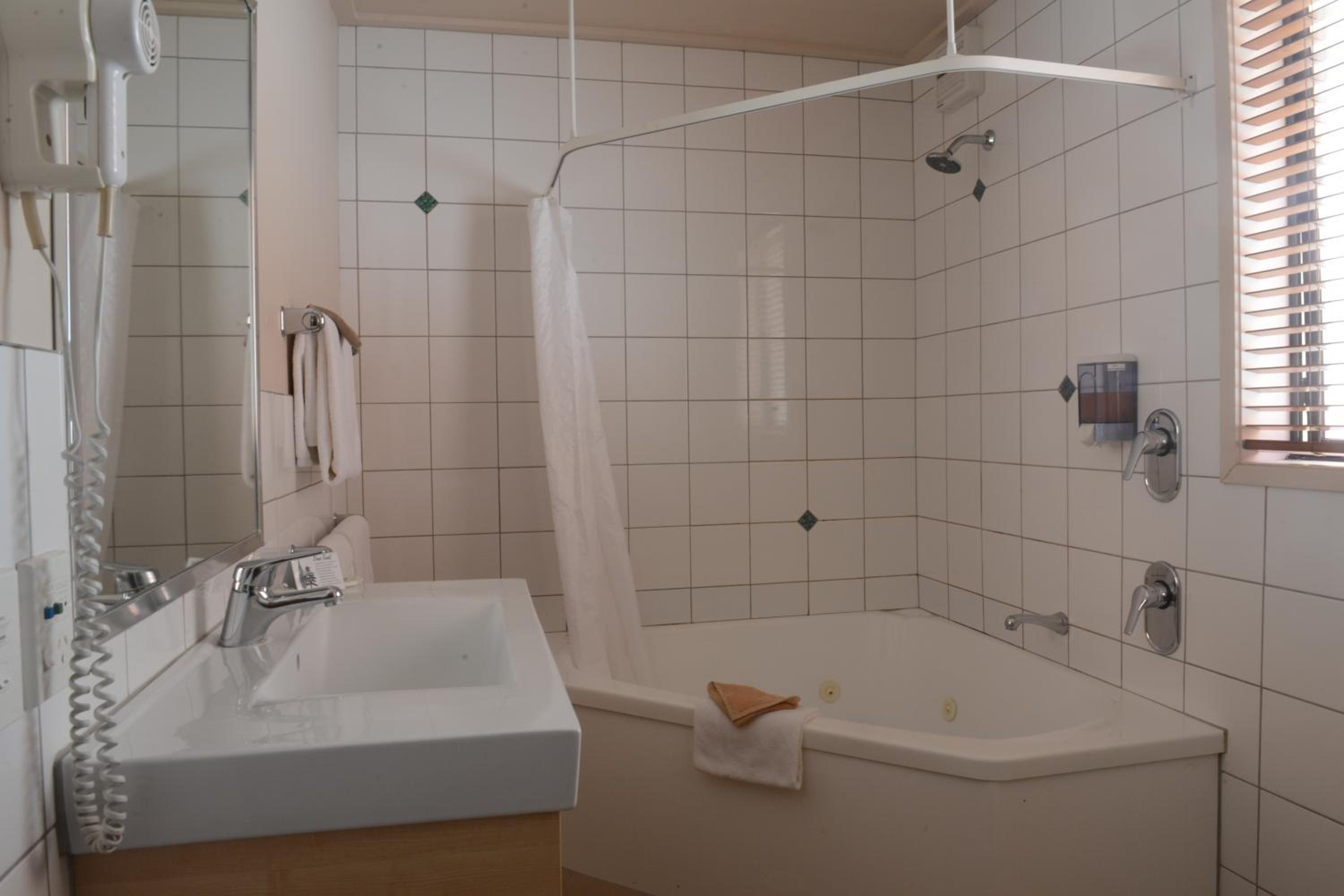 Executive One-Bedroom Apartment with Spa Bath