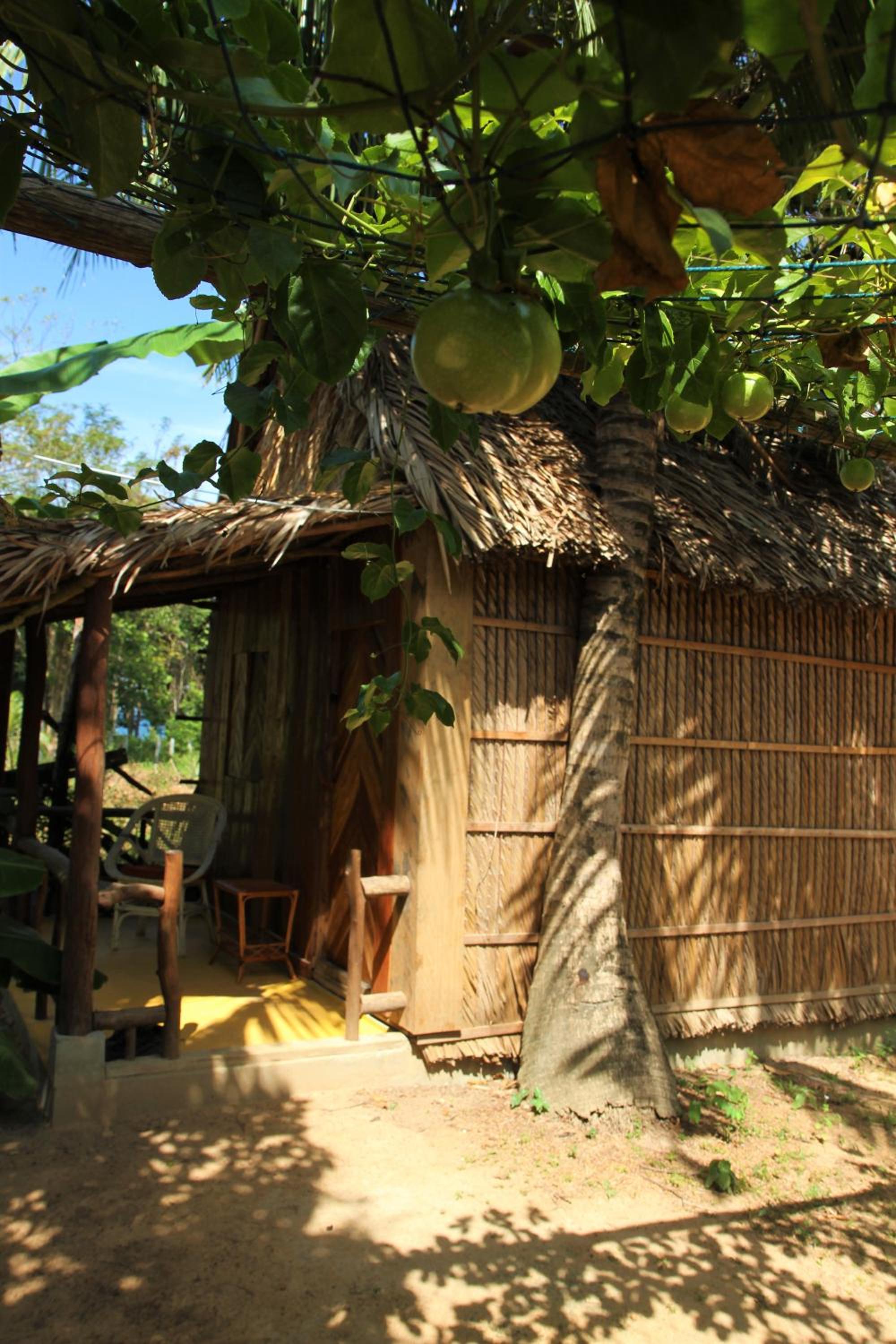 Bungalow with Garden View photo 2
