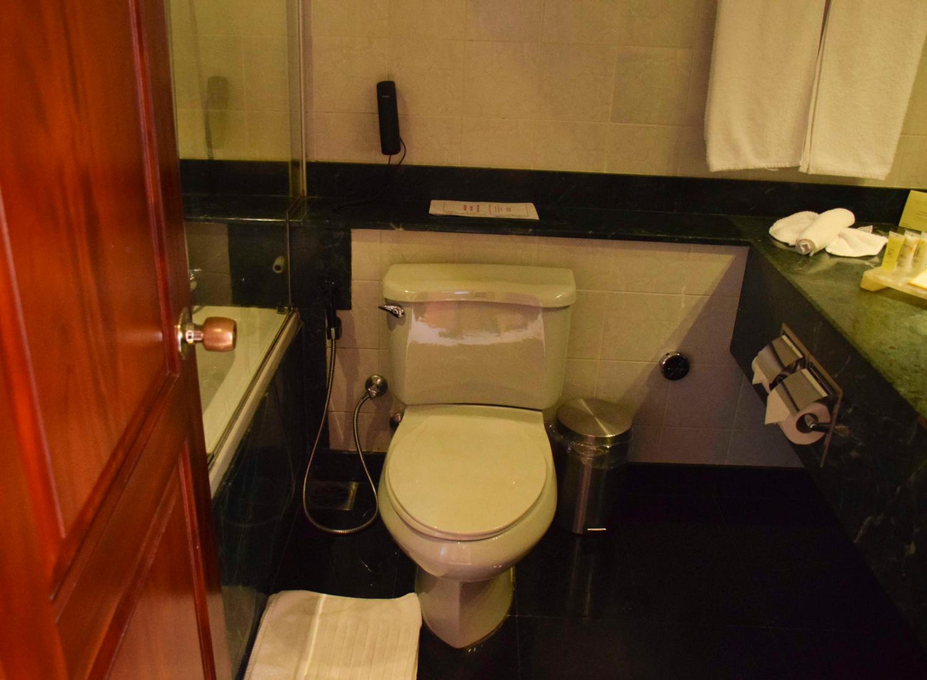 Deluxe Double or Twin Room photo 3