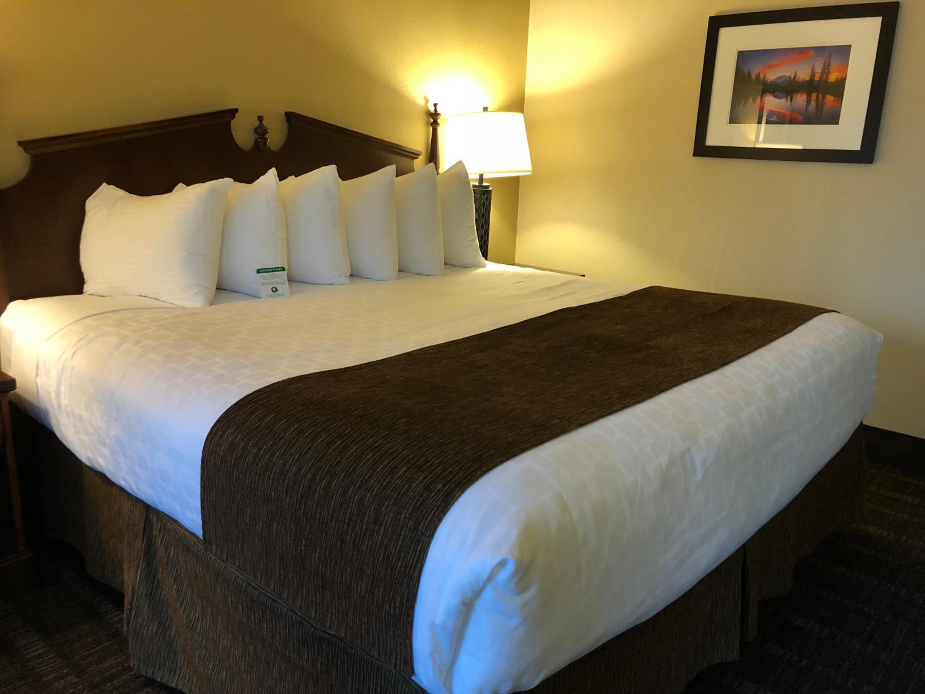 Queen Room with Roll-In Shower - Mobility Access