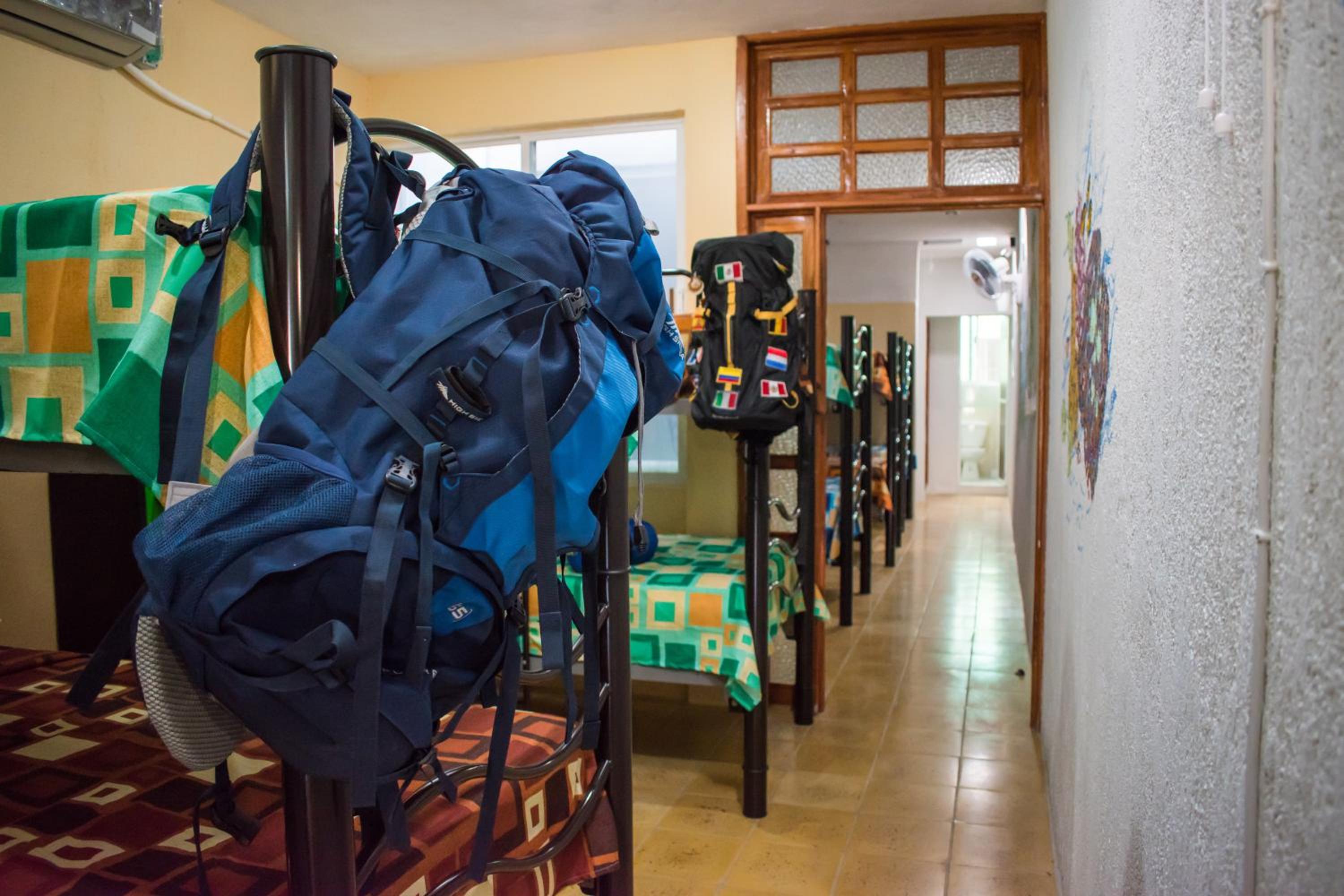 Bed in 6-Bed Mixed Dormitory Room photo 1