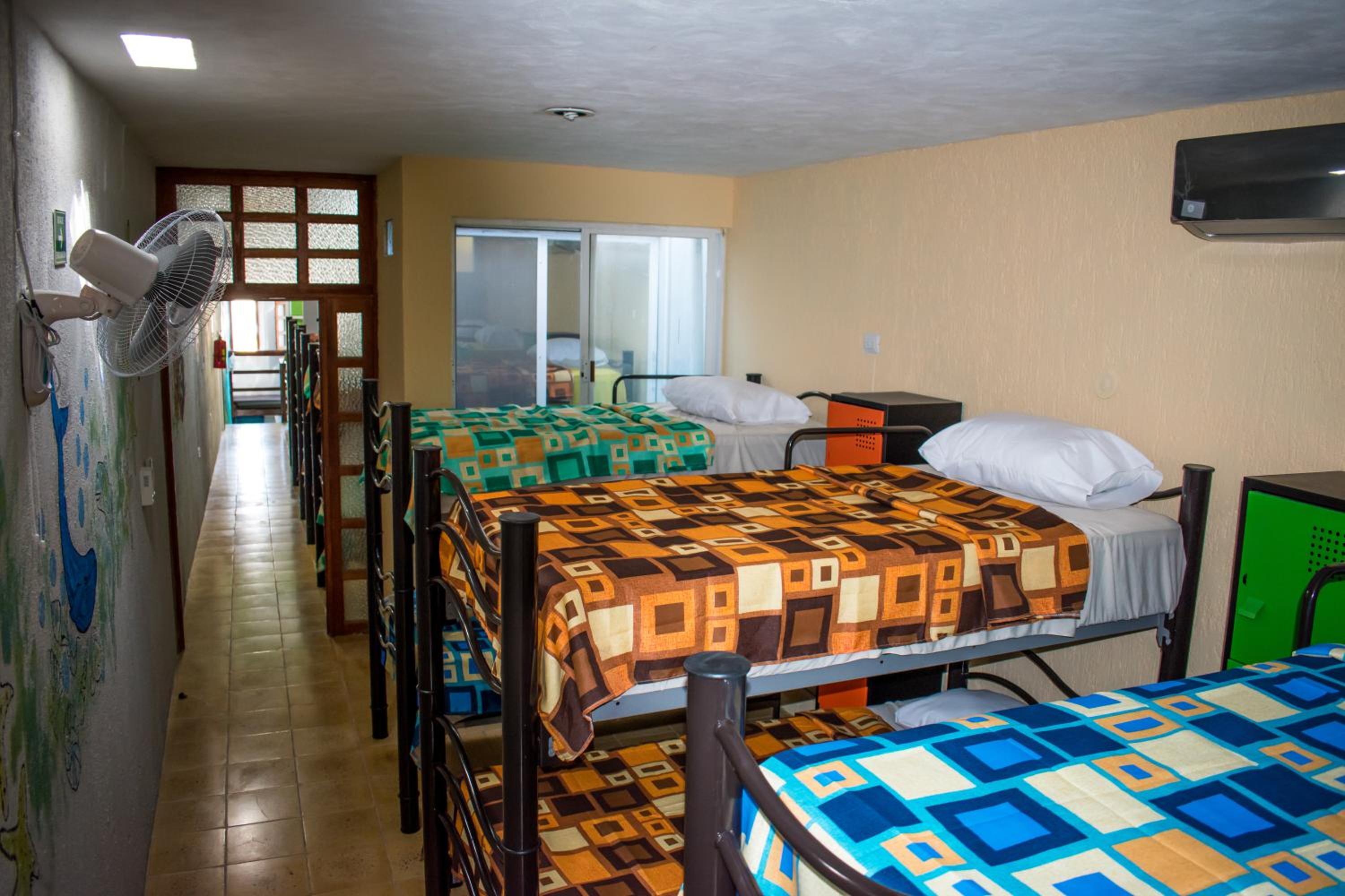 Bed in 6-Bed Mixed Dormitory Room photo 1