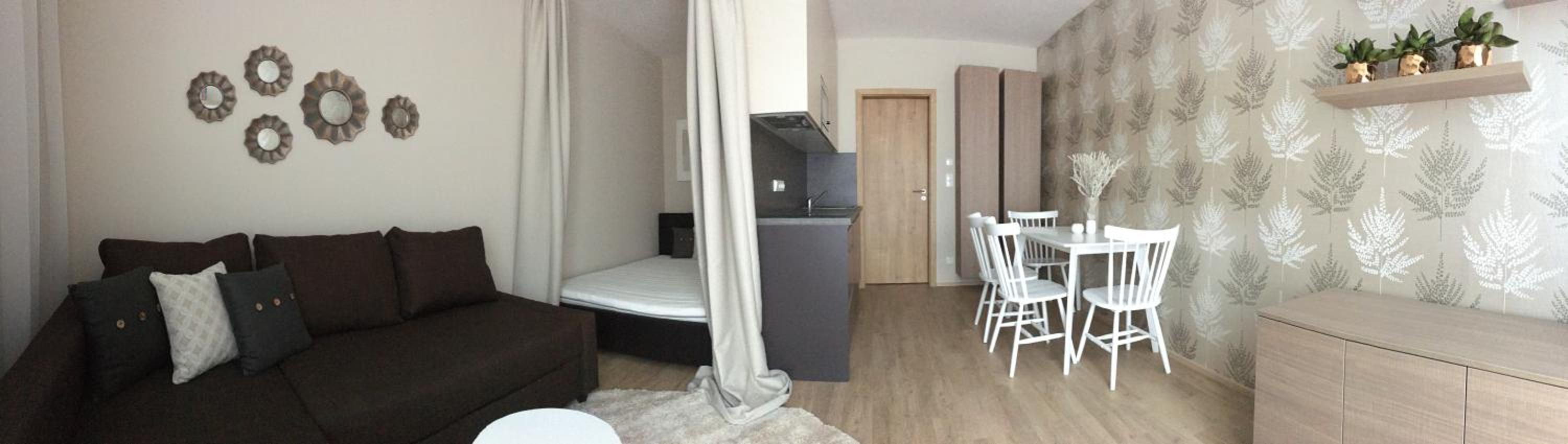 Apartment with Terrace photo 3