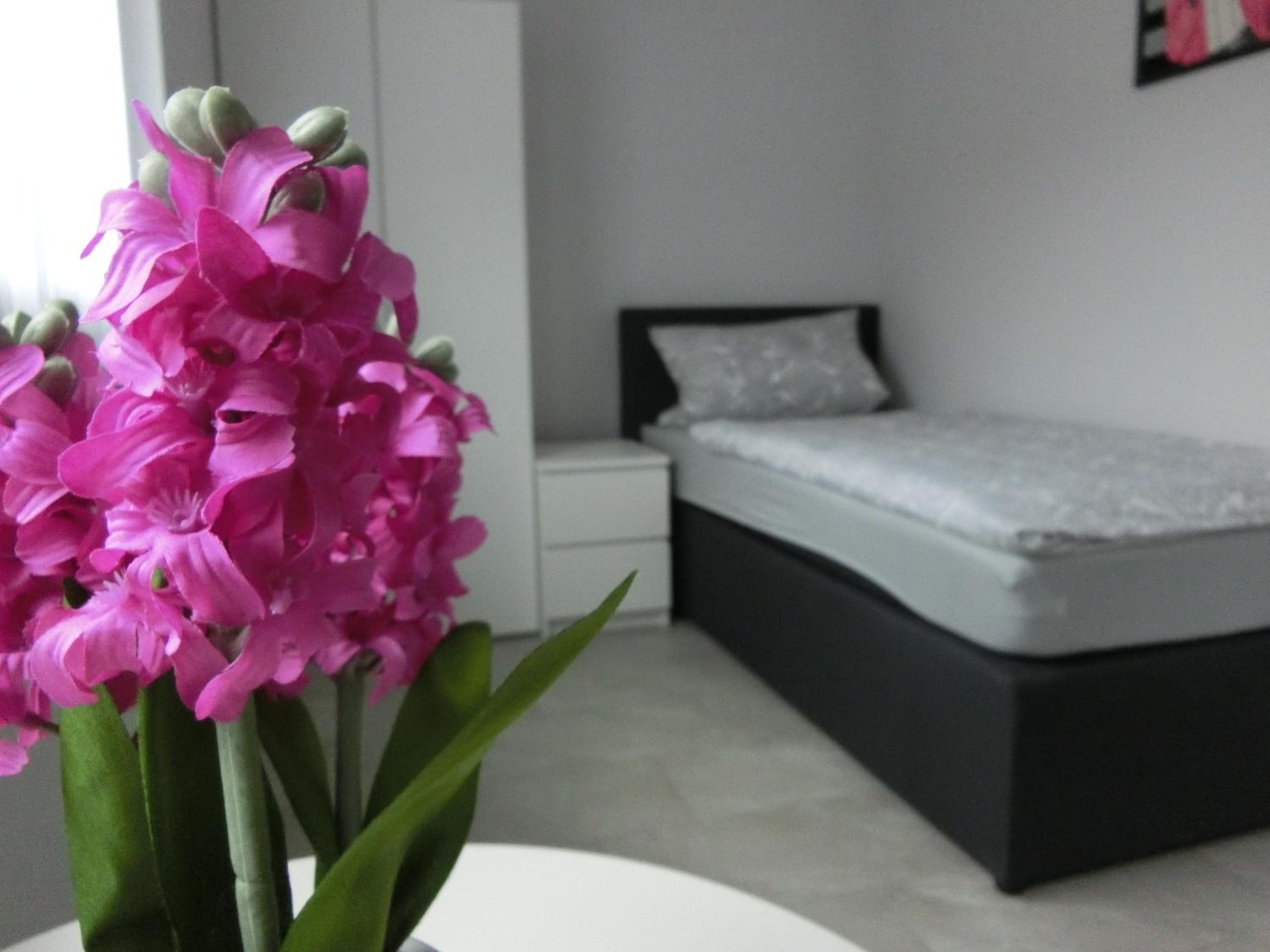 Single Room with Shared Bathroom