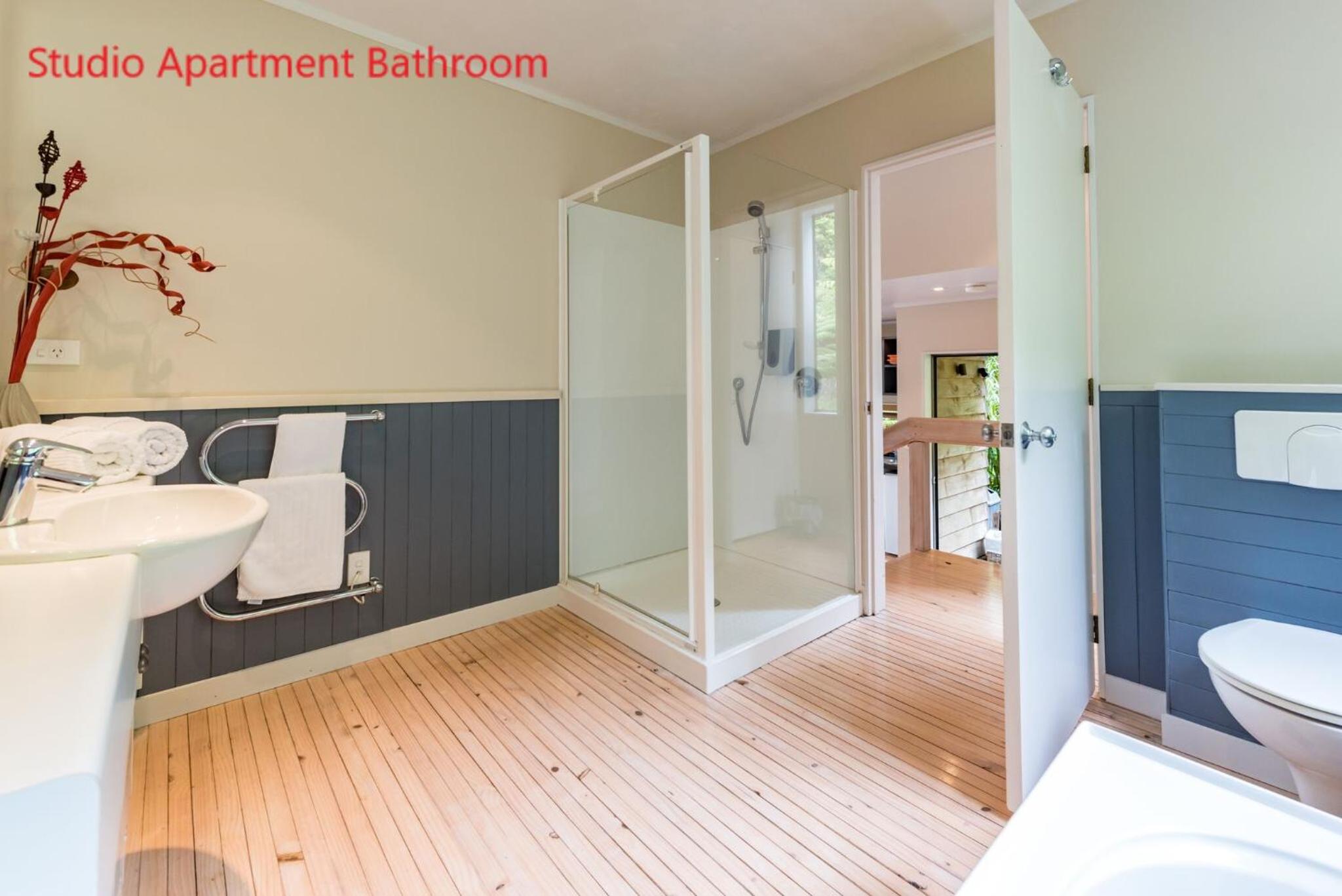 Studio Apartment photo 3