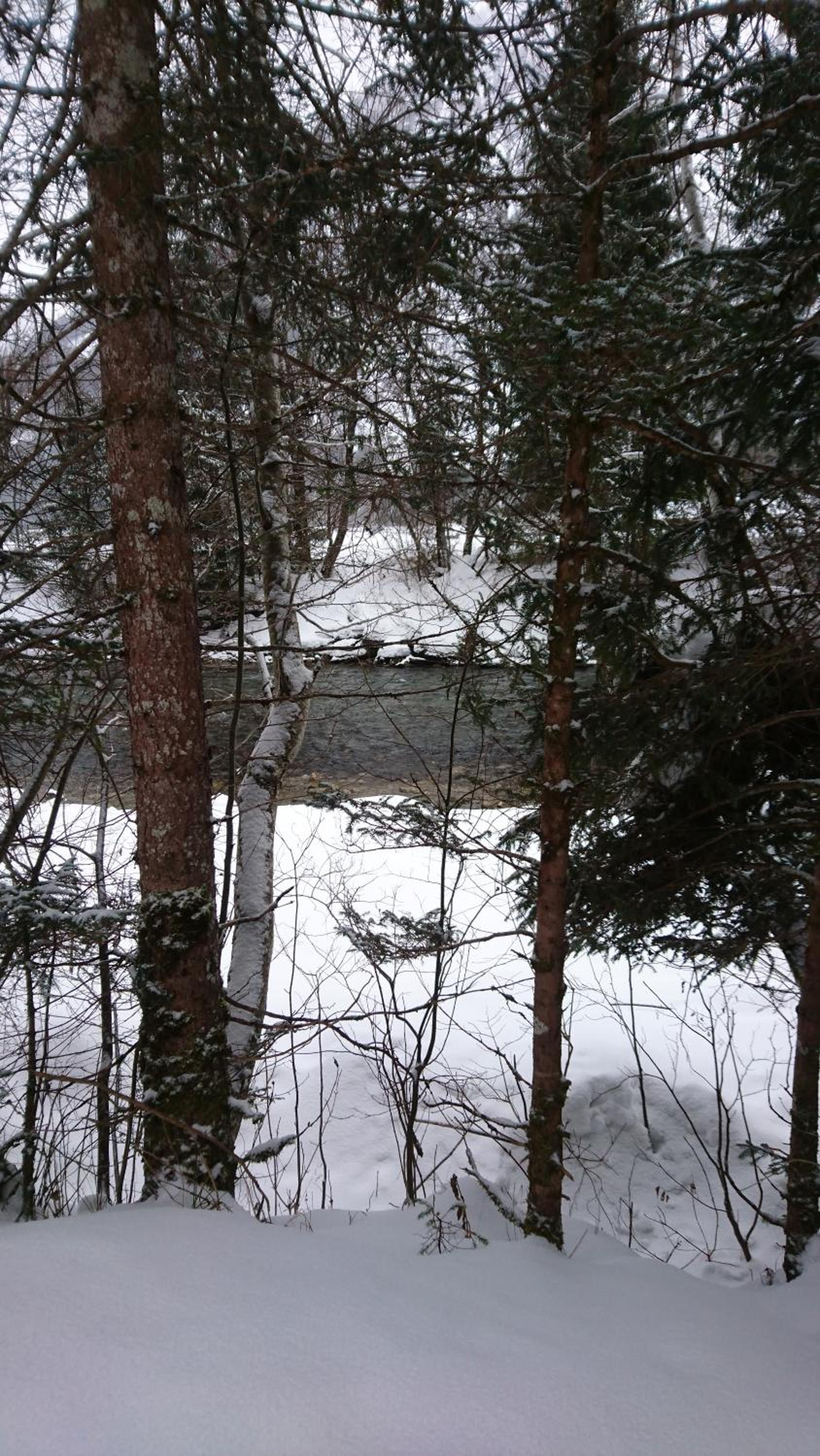 Studio with Balcony photo 3