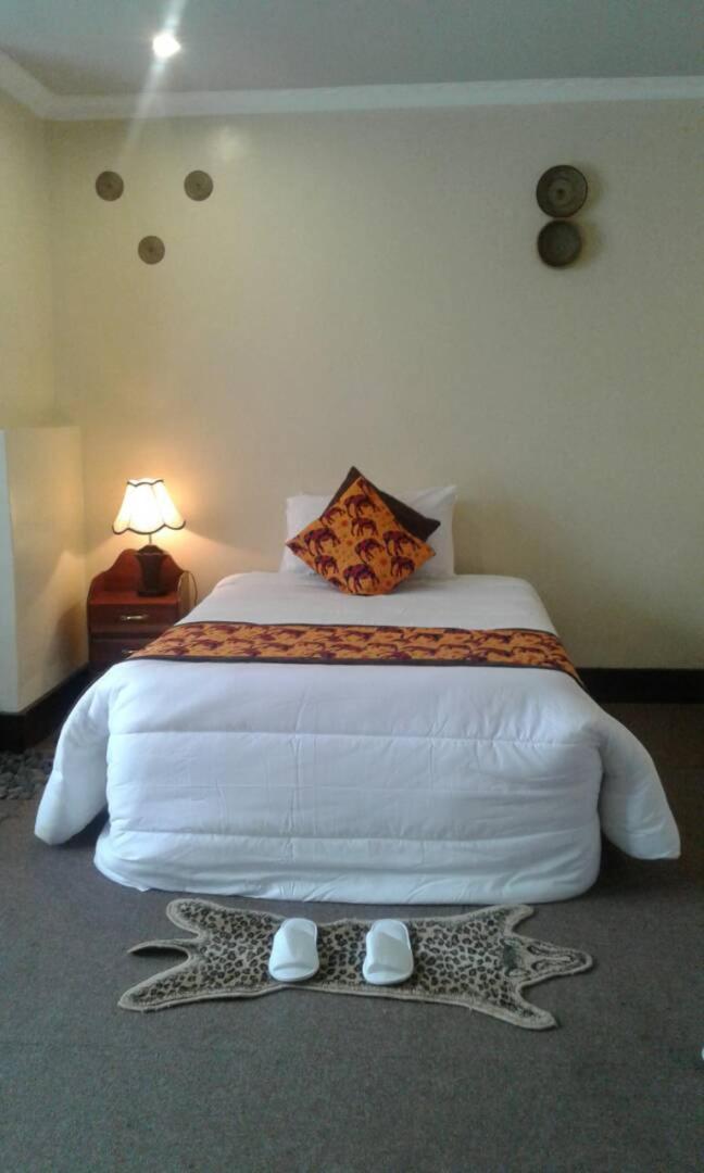 Single Room photo 2