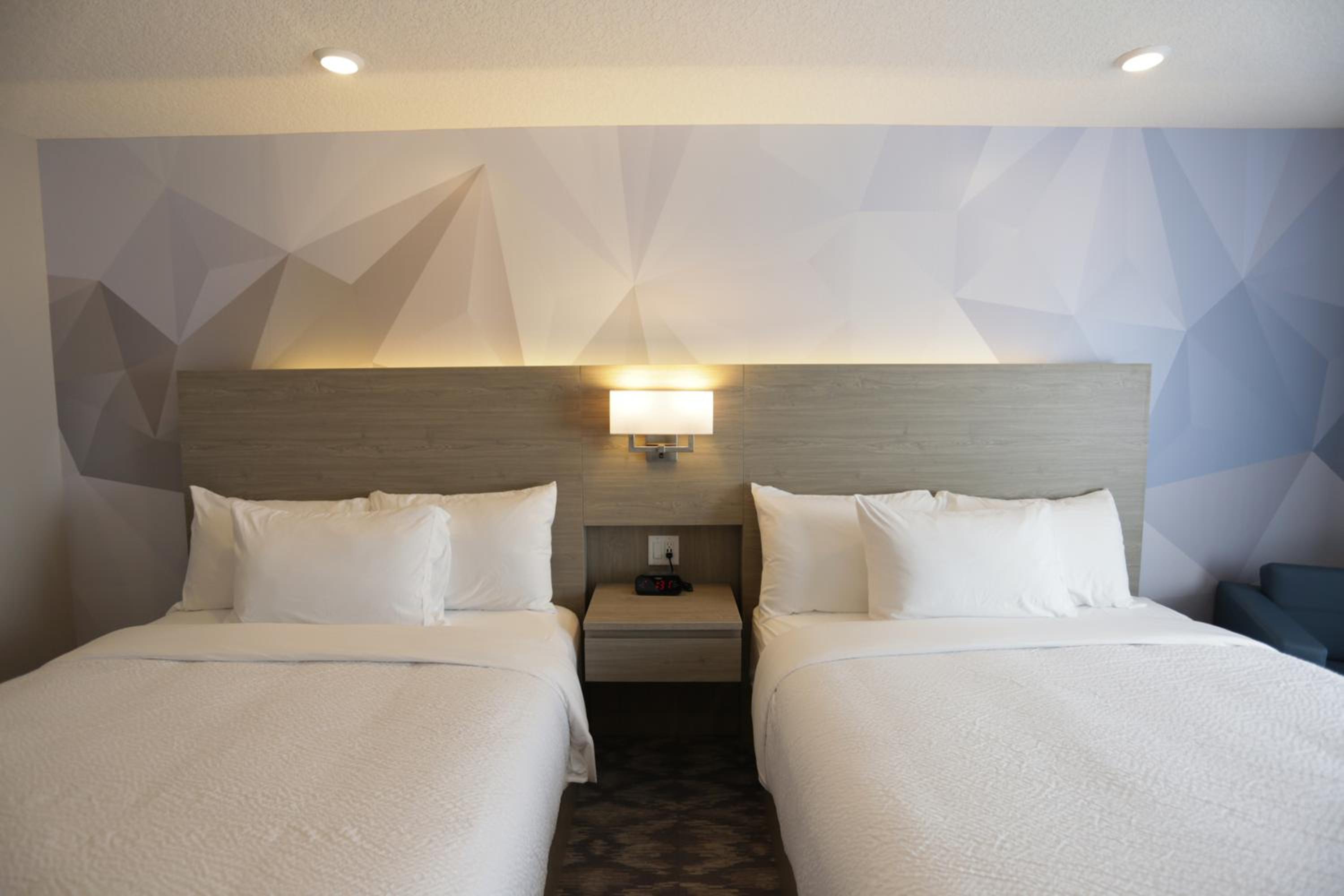 Suite photo 3