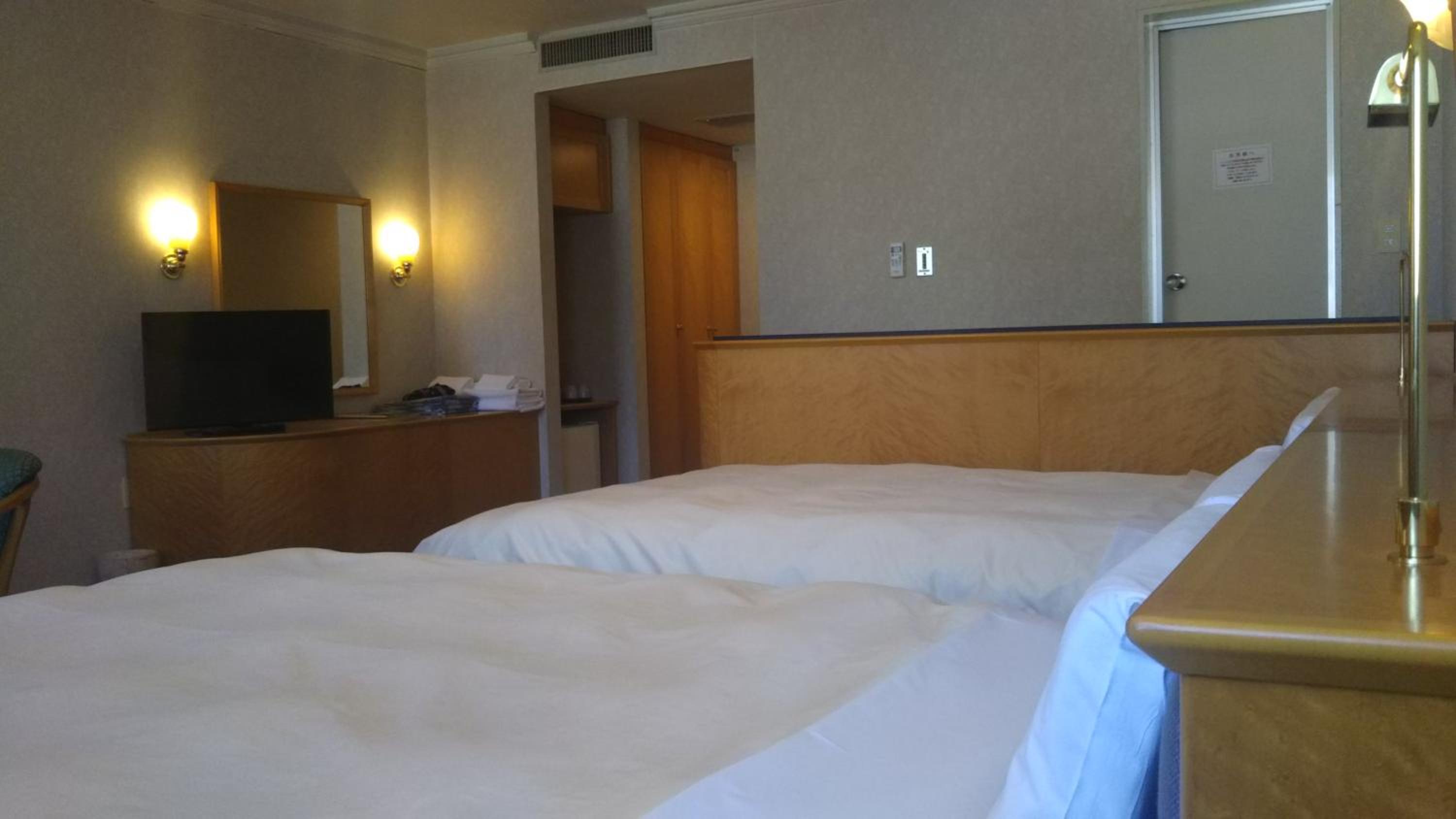 Deluxe Twin Room A photo 3