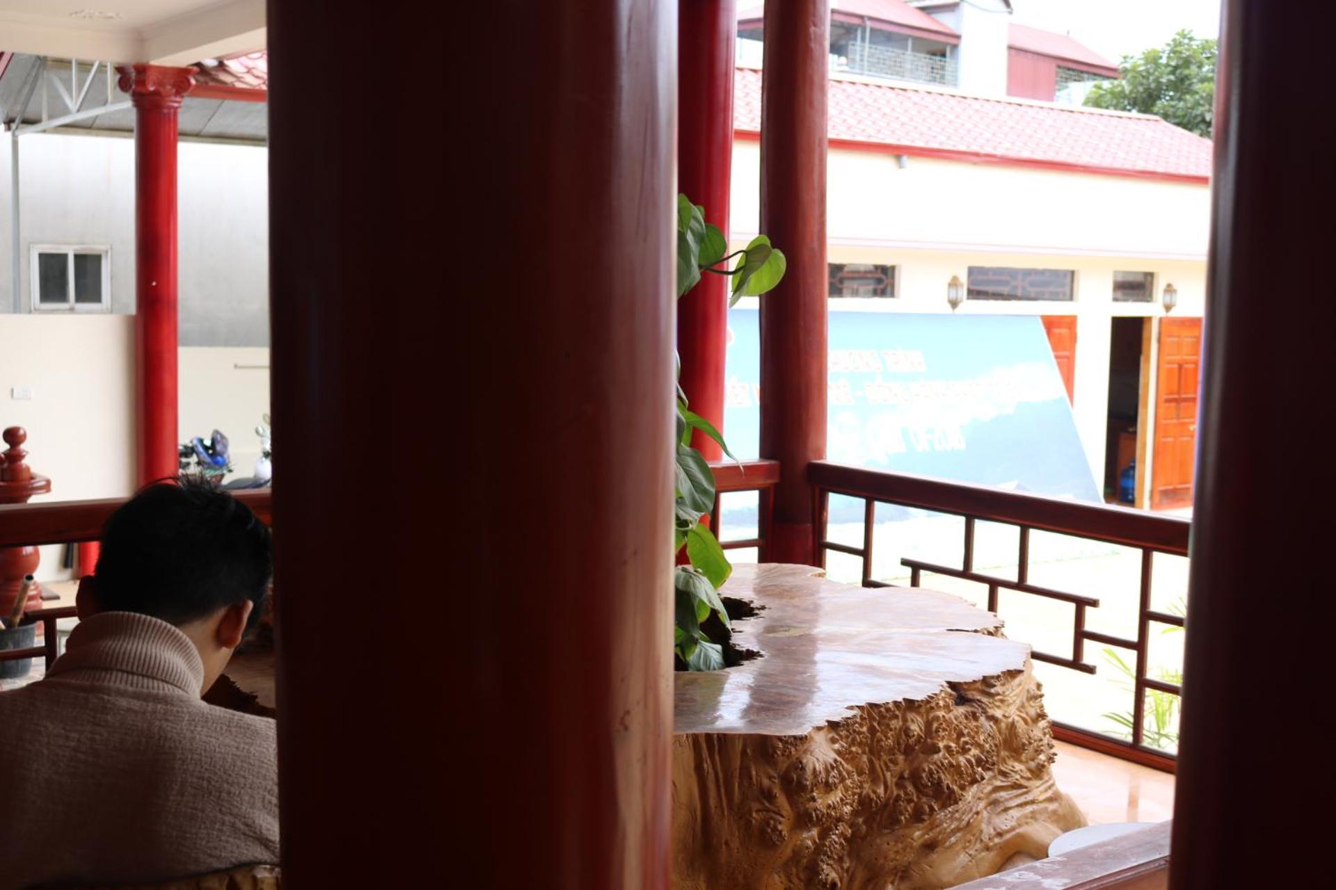 Single Bed in Mixed Dormitory Room photo 3