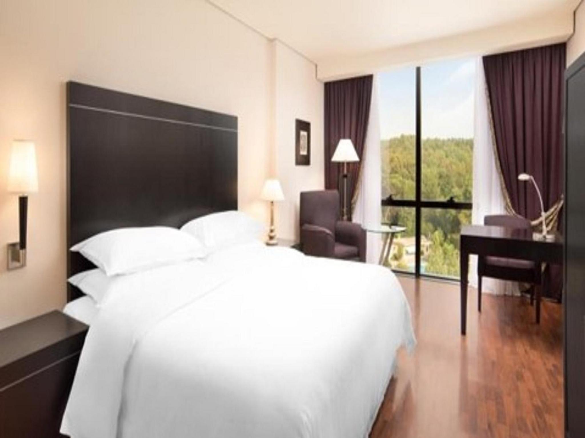 Deluxe Double or Twin Room photo 2