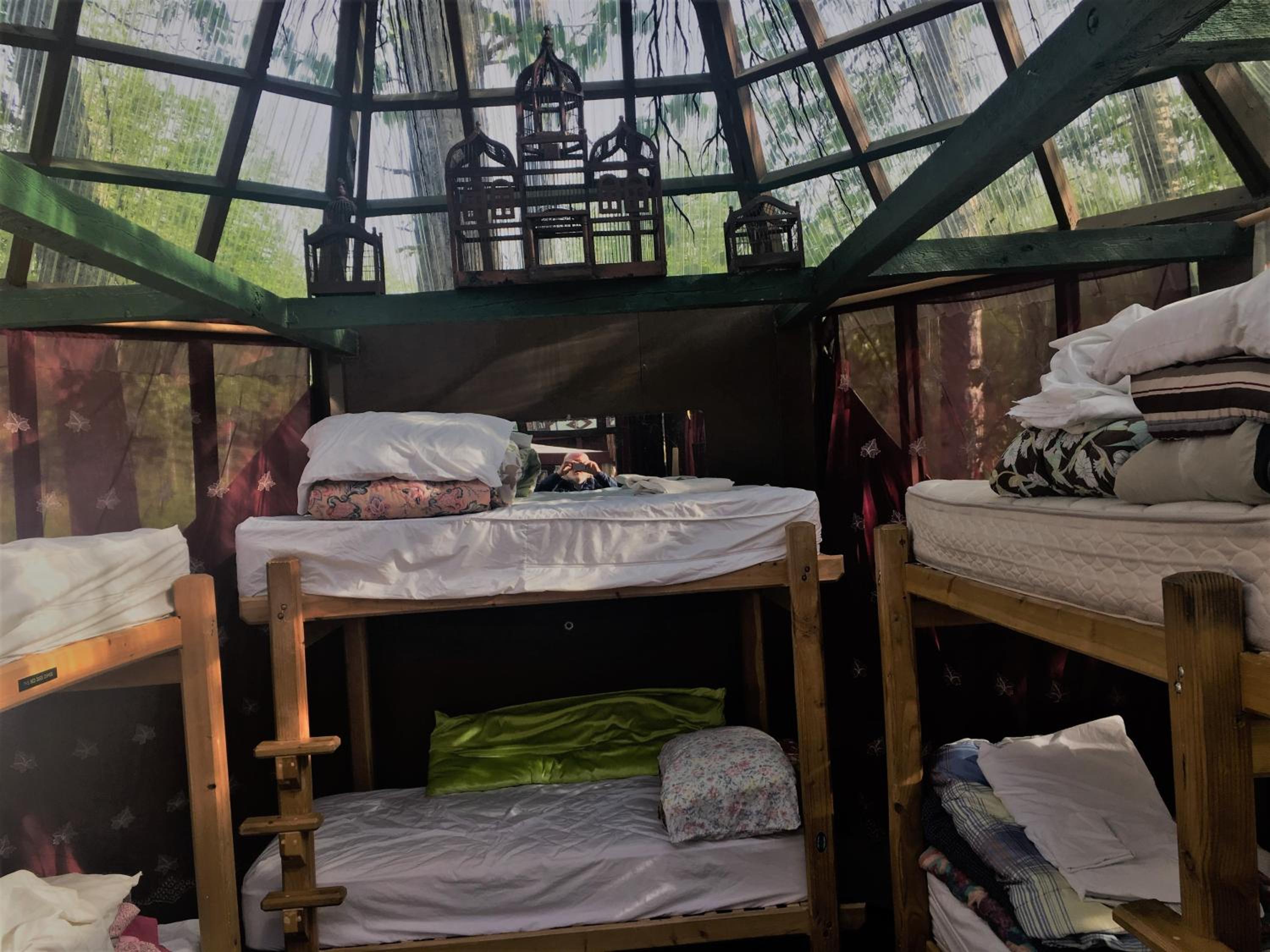Bed in 6-Bed Dormitory Room photo 1