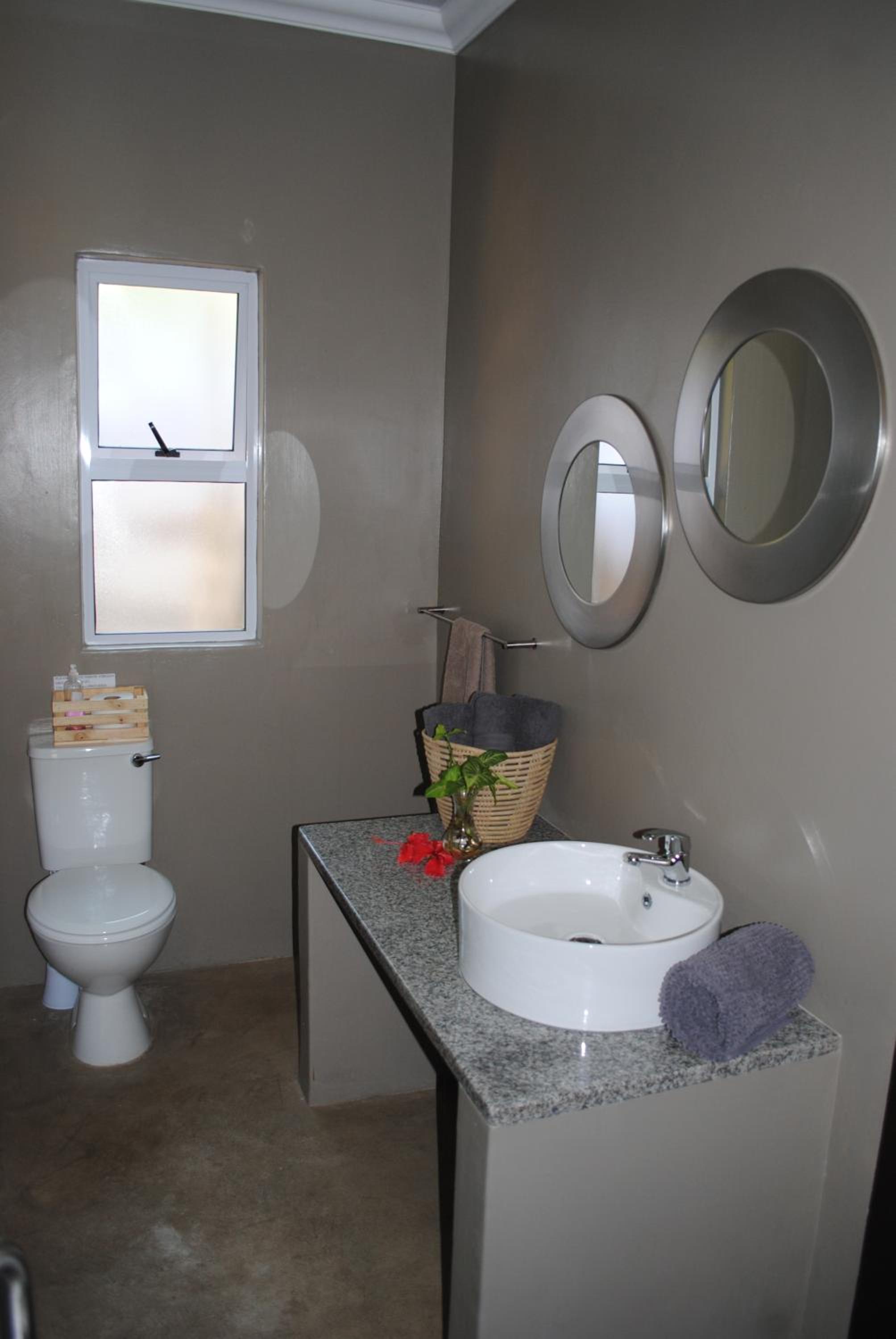 King Suite photo 2