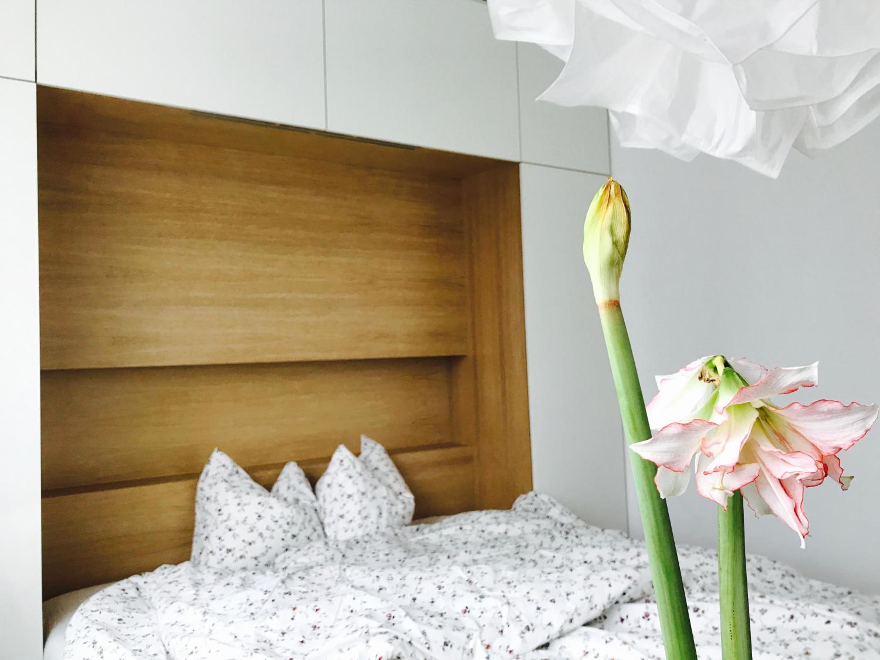 Superior Apartment - Photo 14