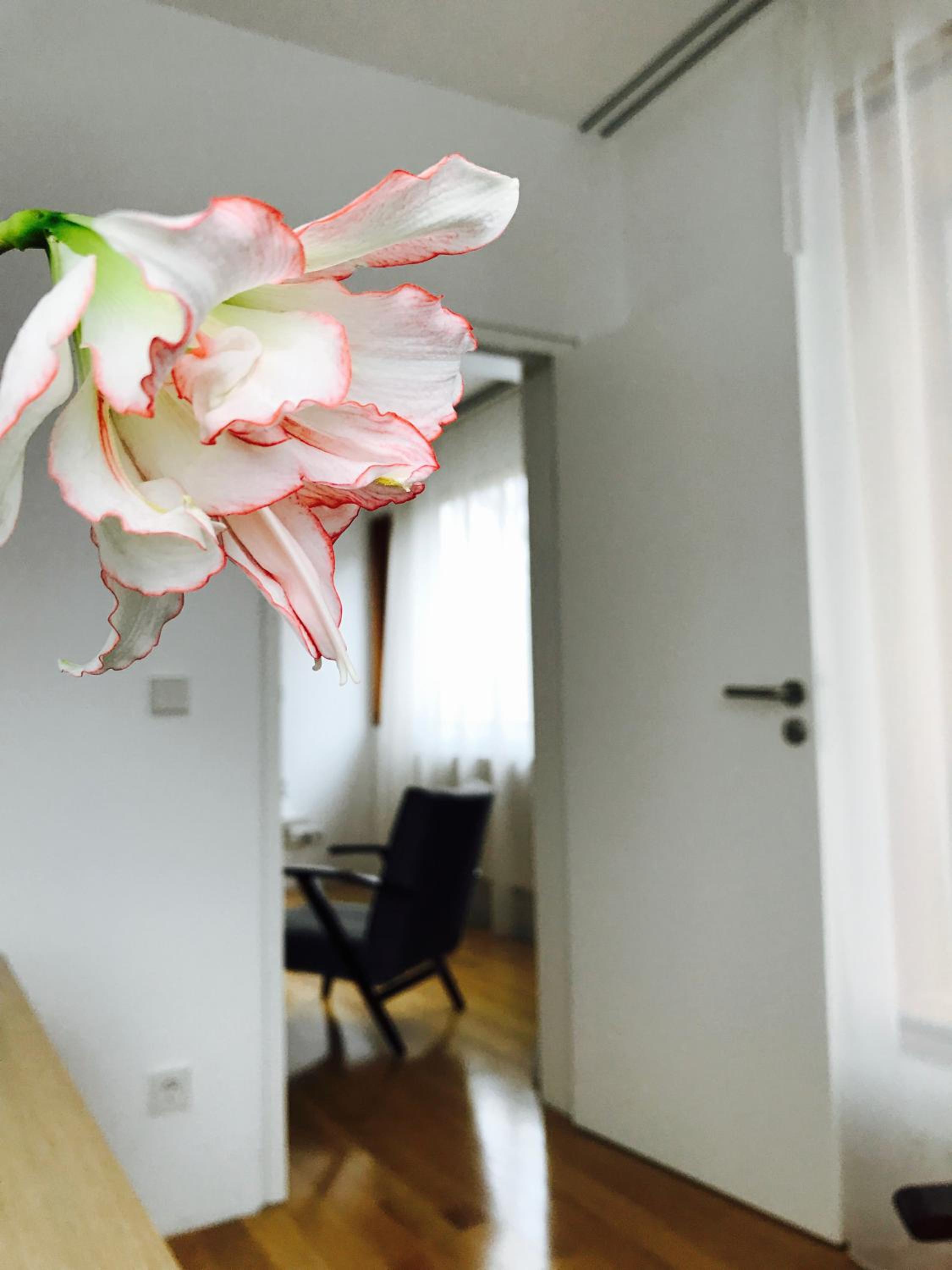 Superior Apartment - Photo 33