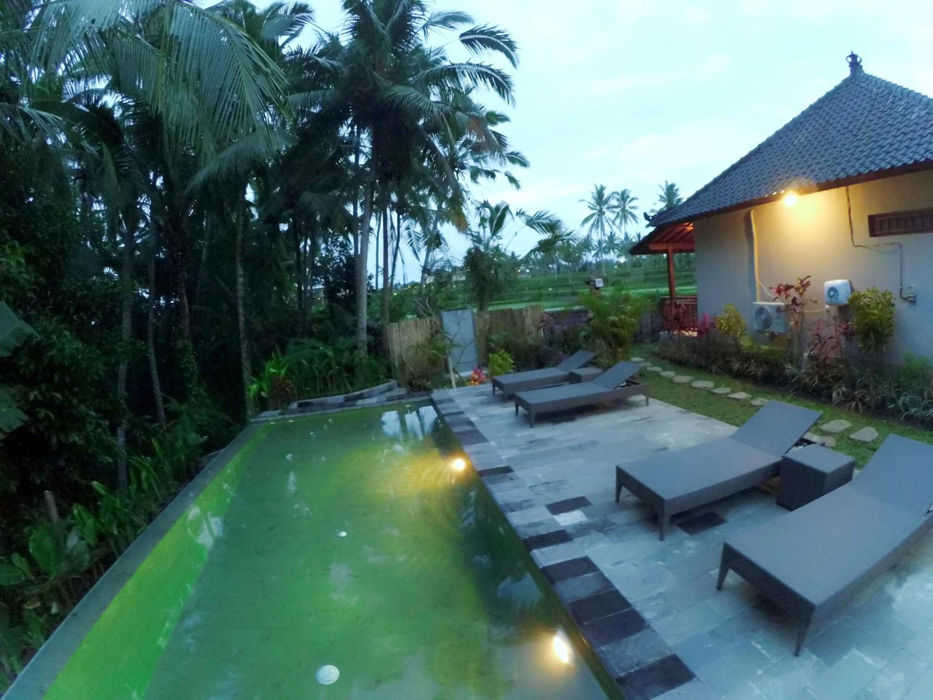 Deluxe Villa - Photo 11