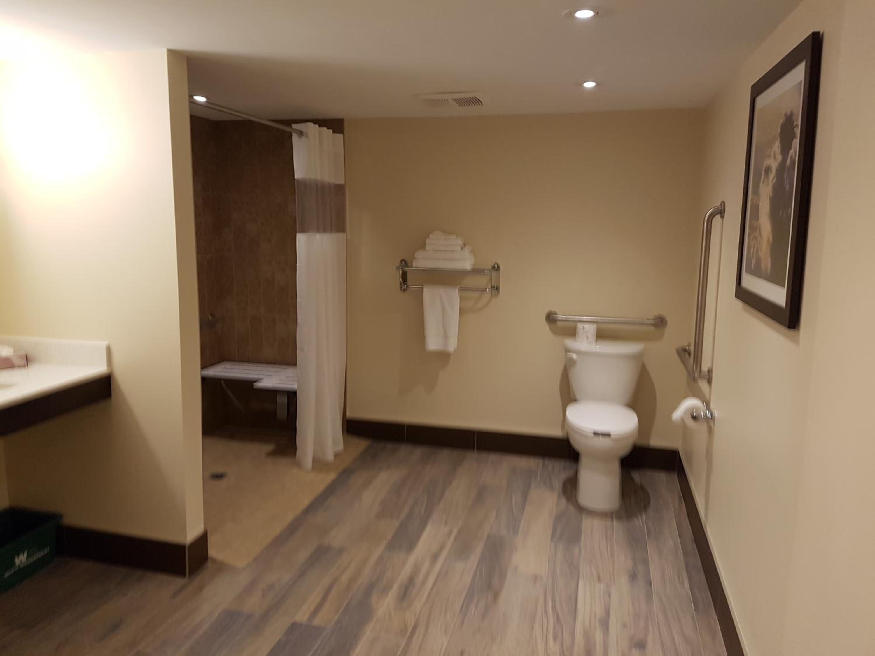 Queen Room with Roll-In Shower - Disability Access/Non-Smoking - Photo 2