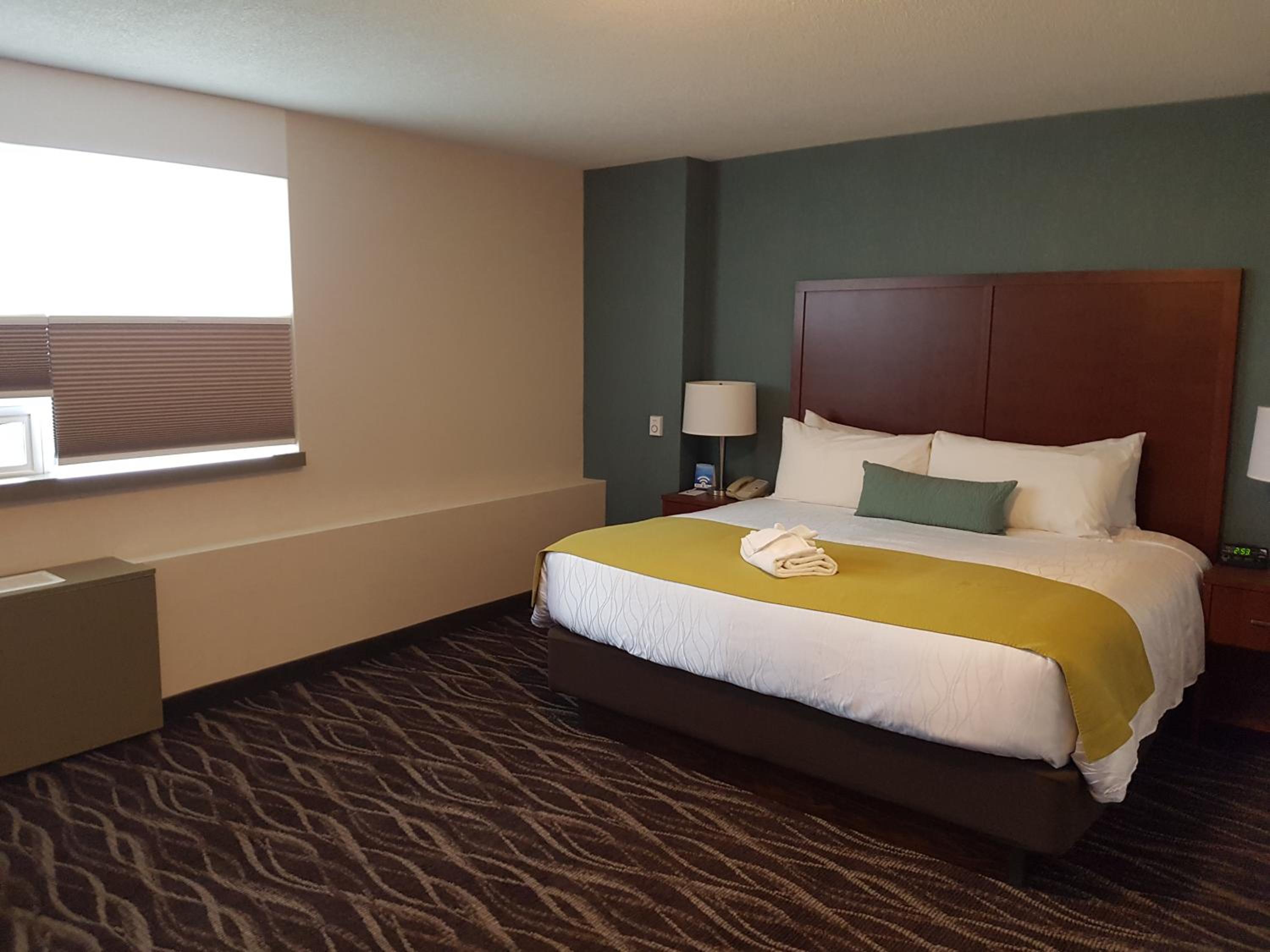 Queen Room with Roll-In Shower - Disability Access/Non-Smoking - Photo 4