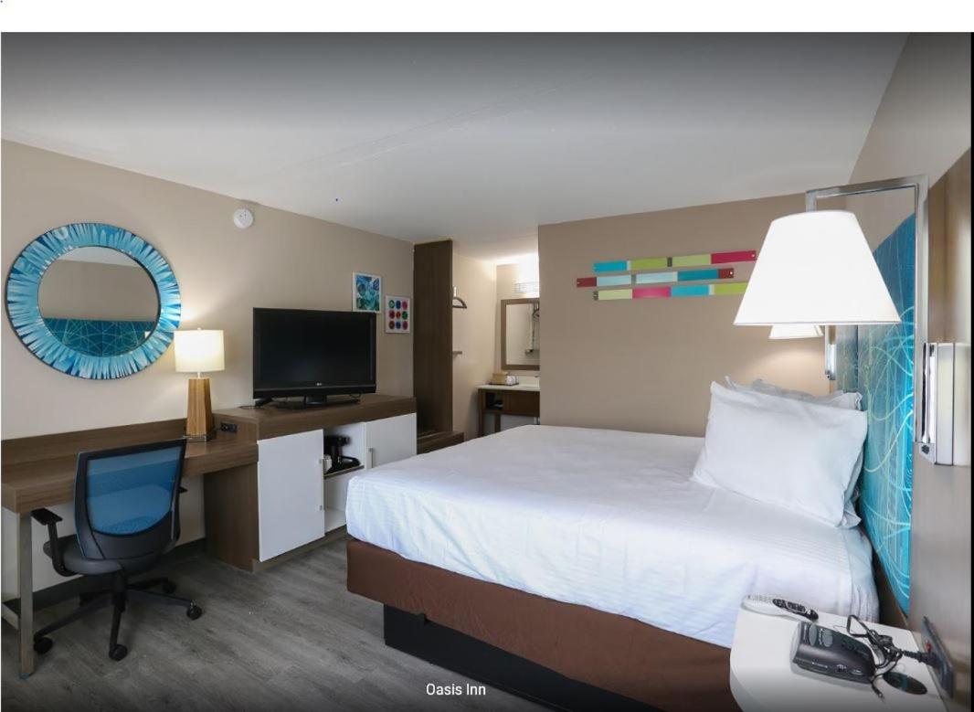 Superior King Room photo 1