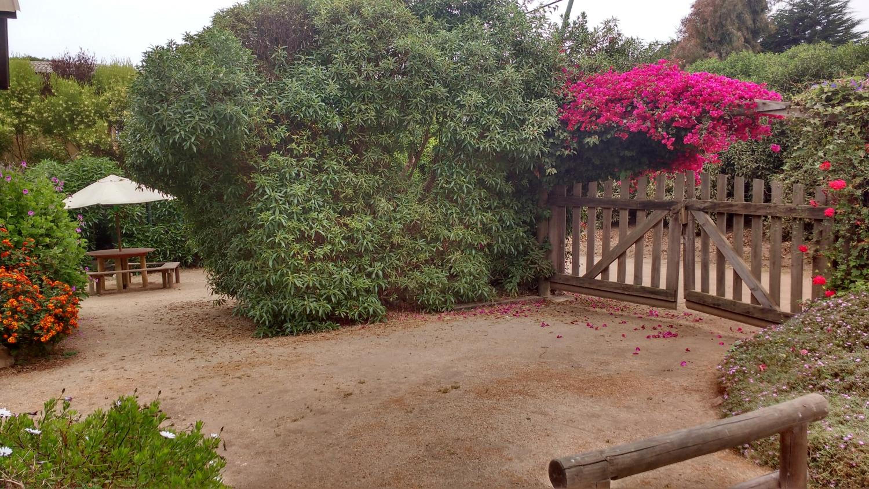 Vacation Home photo 2