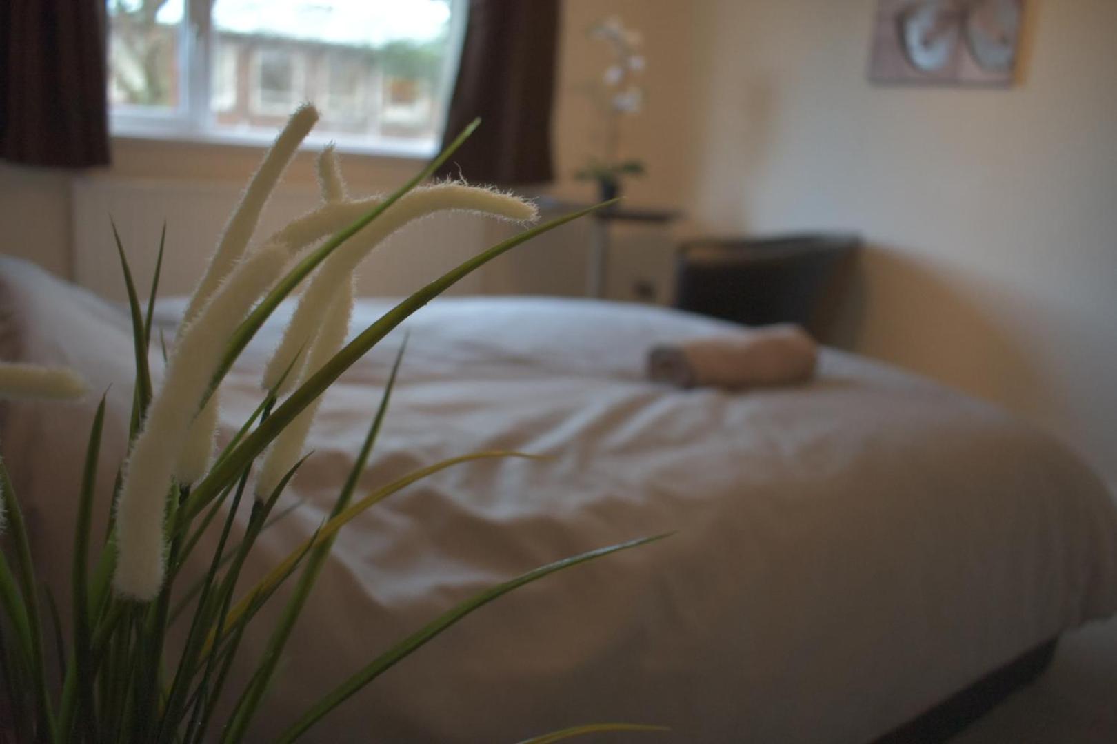 Standard Double Room - Photo 8