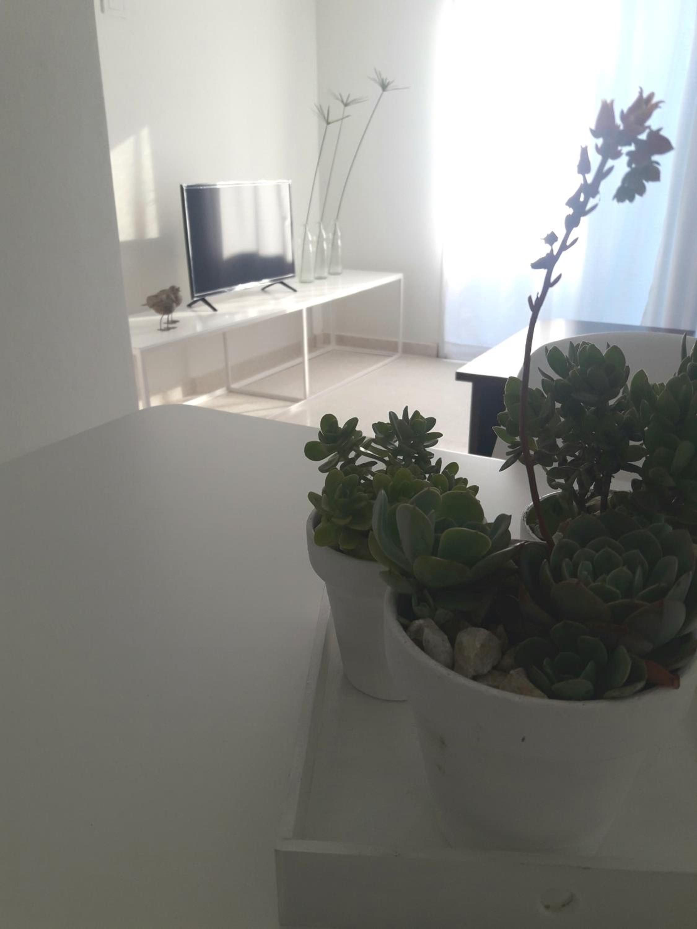 Apartment - Ground Floor photo 1