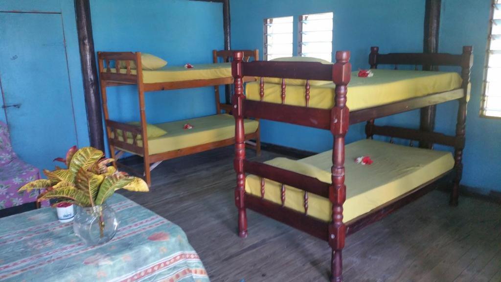 Bed in 8-Bed Mixed Dormitory Room photo 2