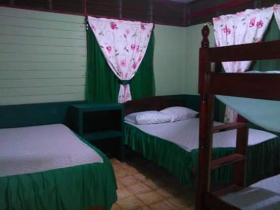 Three-Bedroom House photo 3