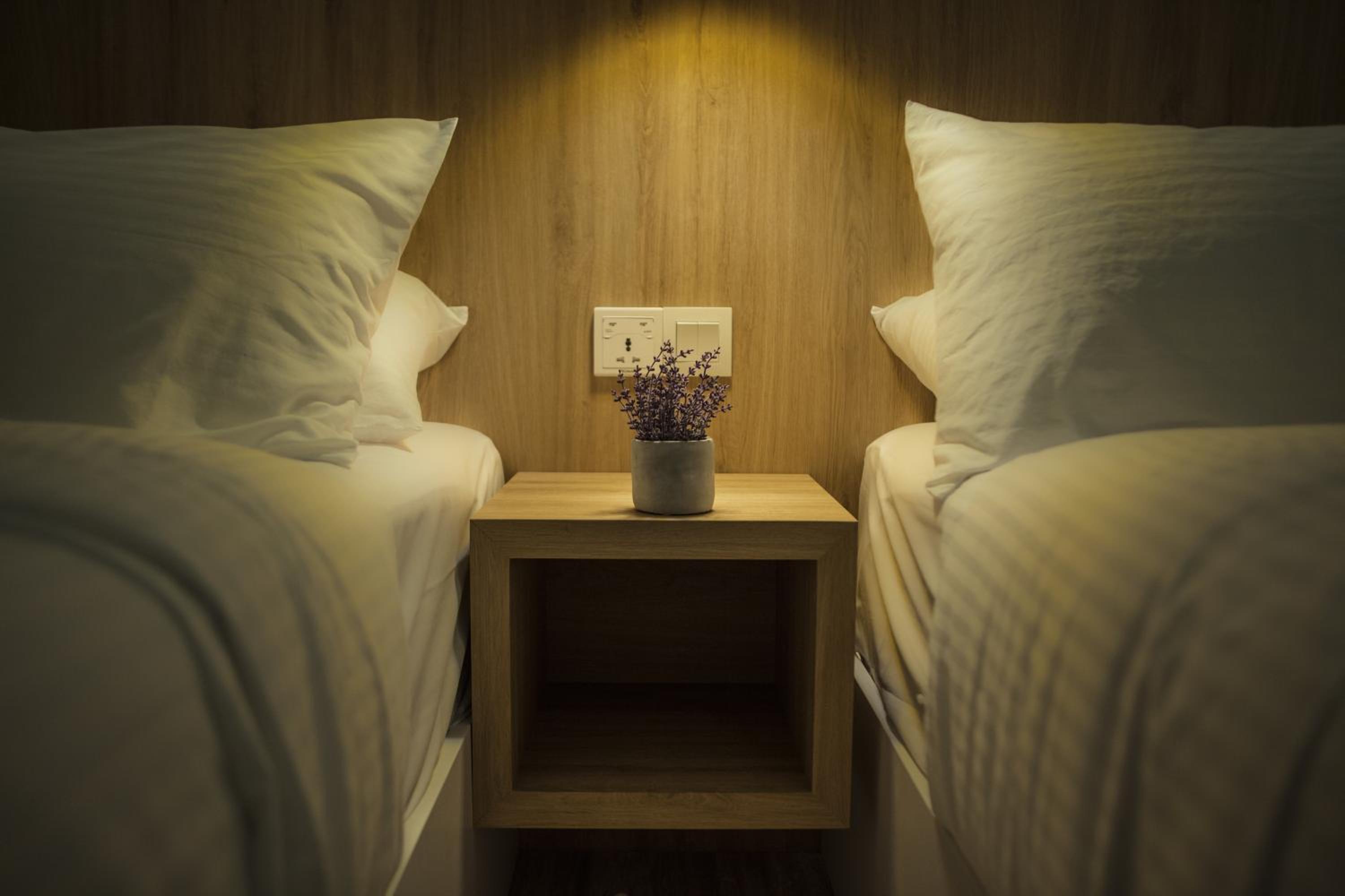 Deluxe Twin Room photo 1