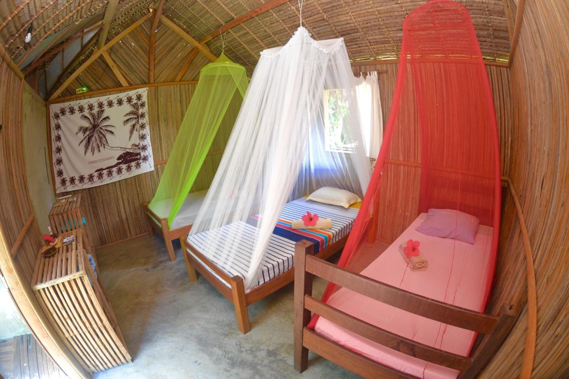 Single Bed in Mixed Dormitory Room photo 1