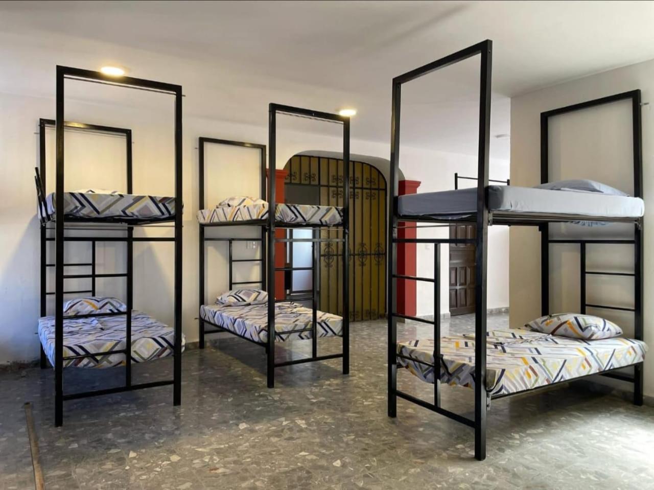 Single Bed in Mixed Dormitory Room photo 1