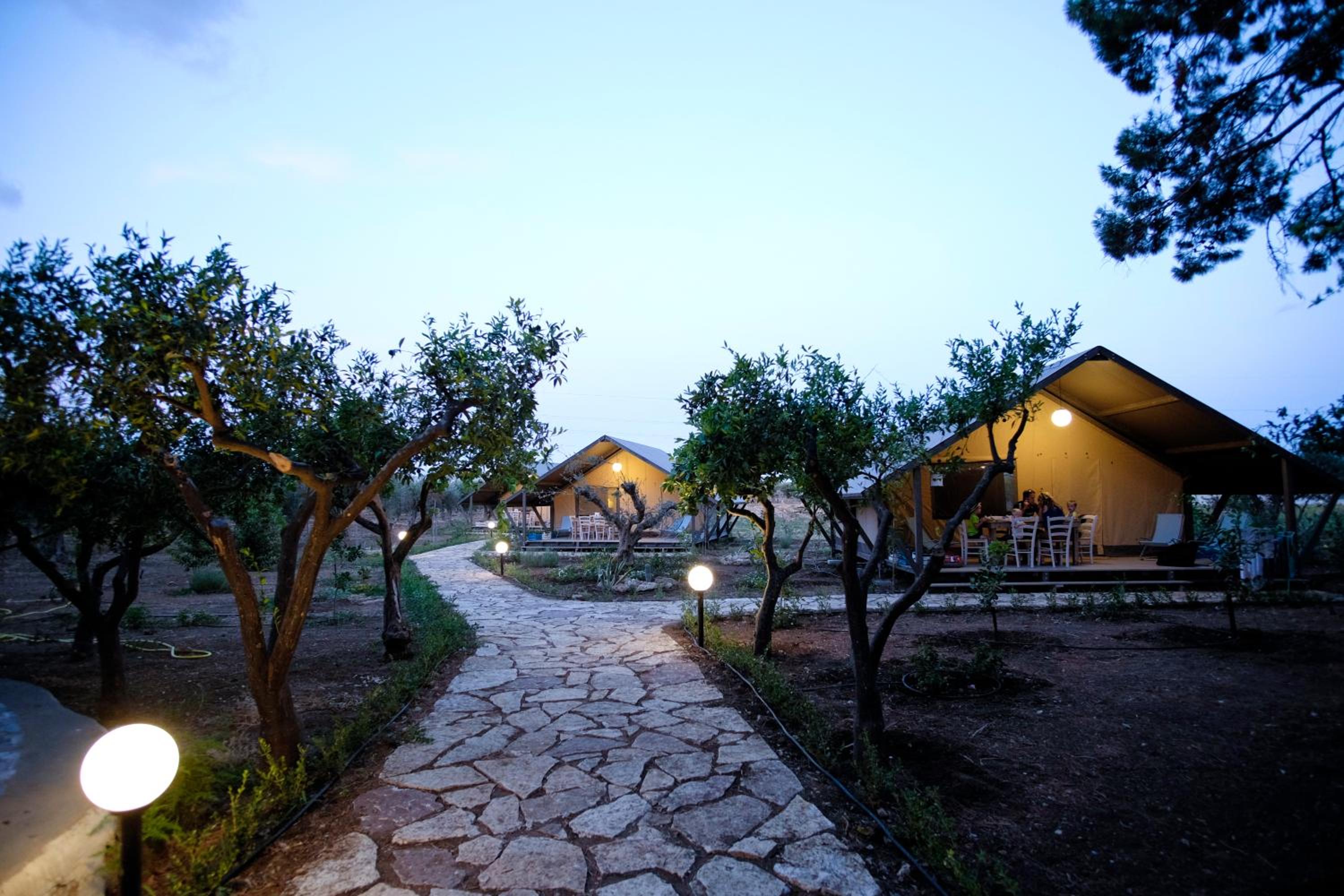 Tent - Photo 12