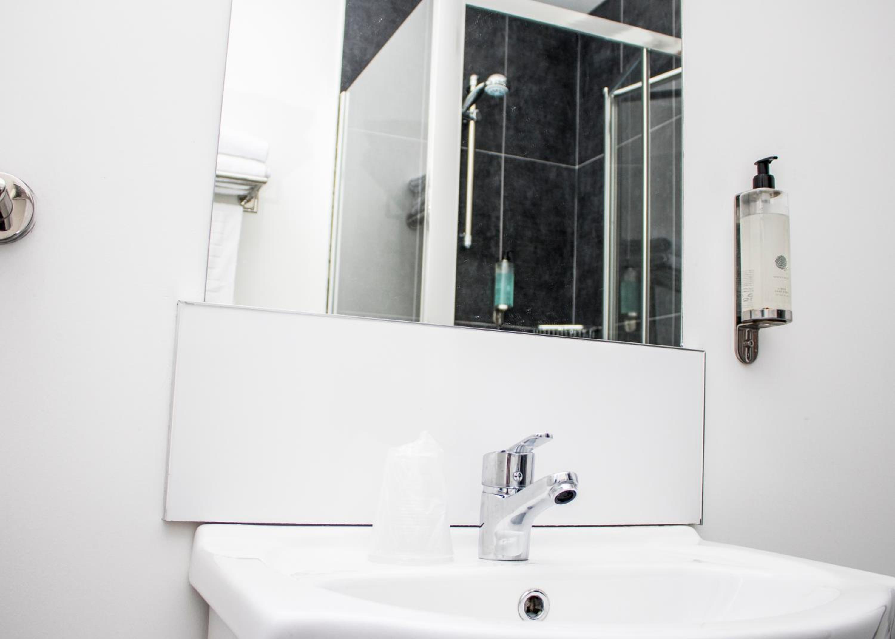Family Room with Shower photo 3