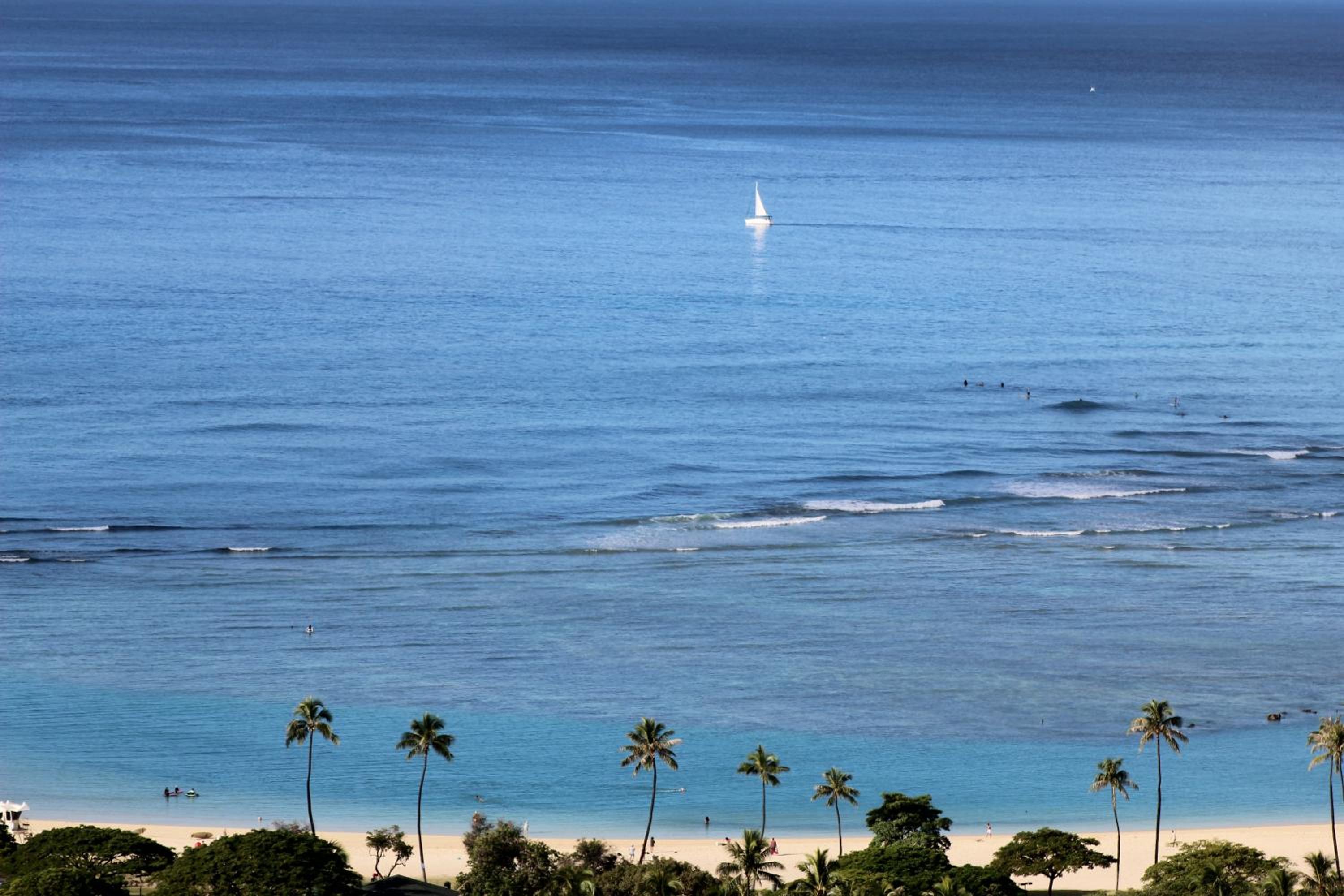 Waikiki Ocean View - Photo 15