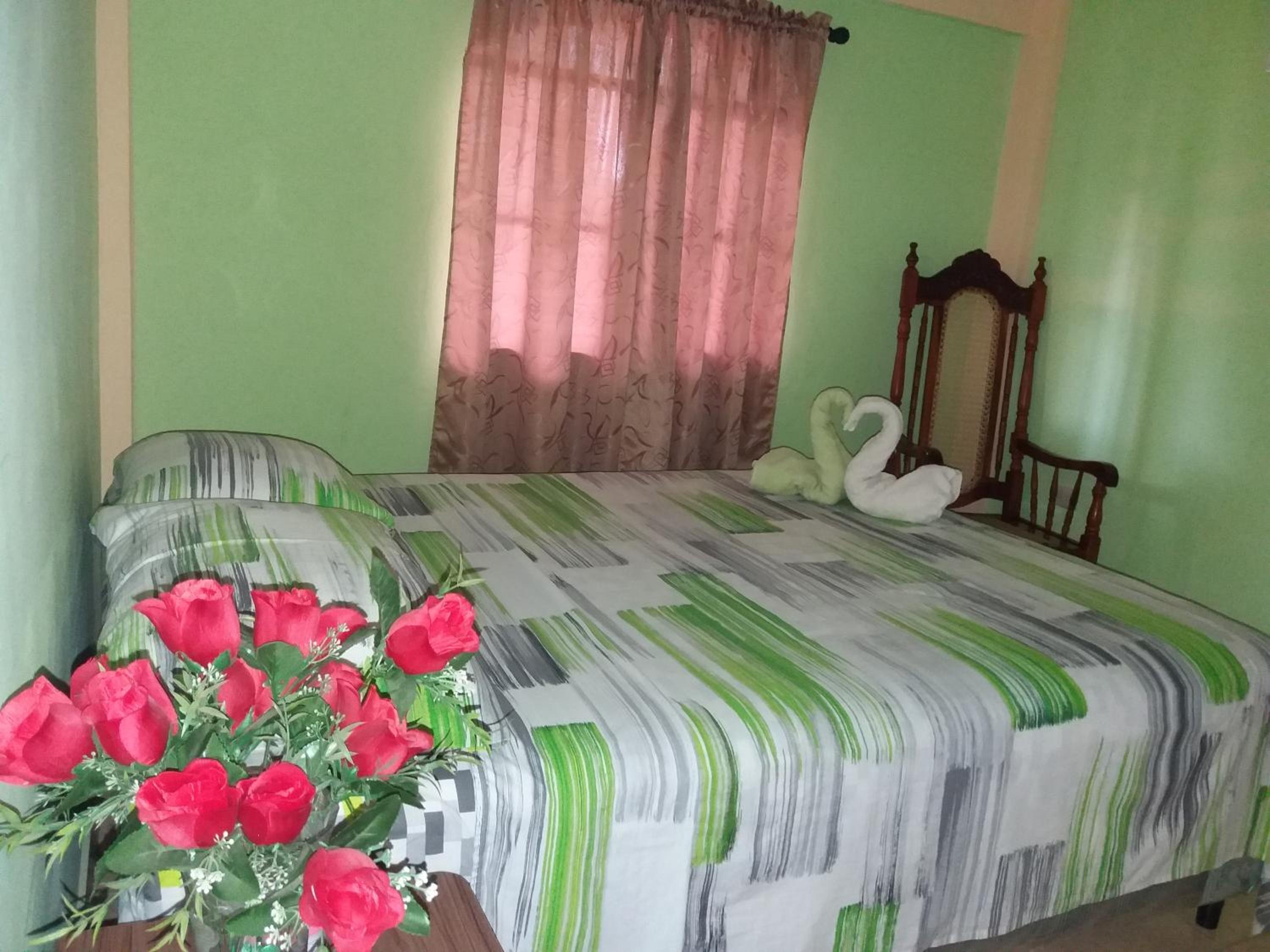 Double Room with Fan photo 1