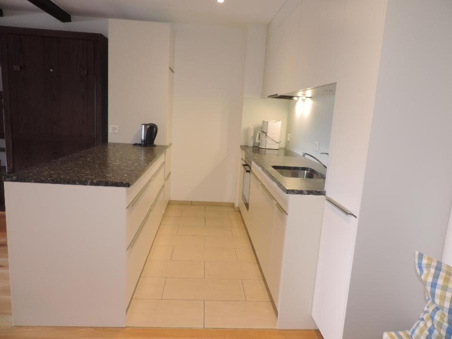 Apartment with Mountain View photo 3