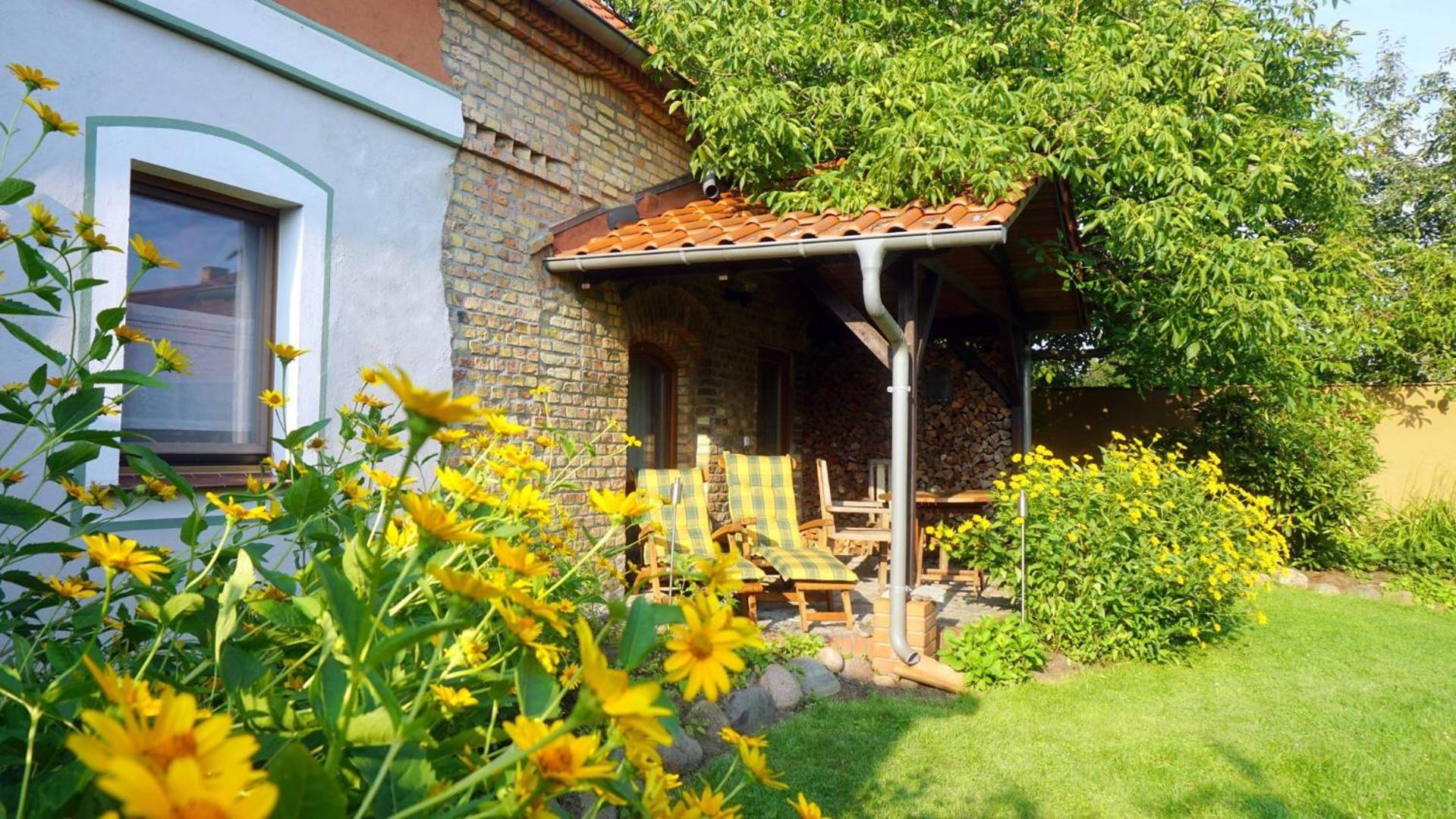 Apartment with Terrace photo 3