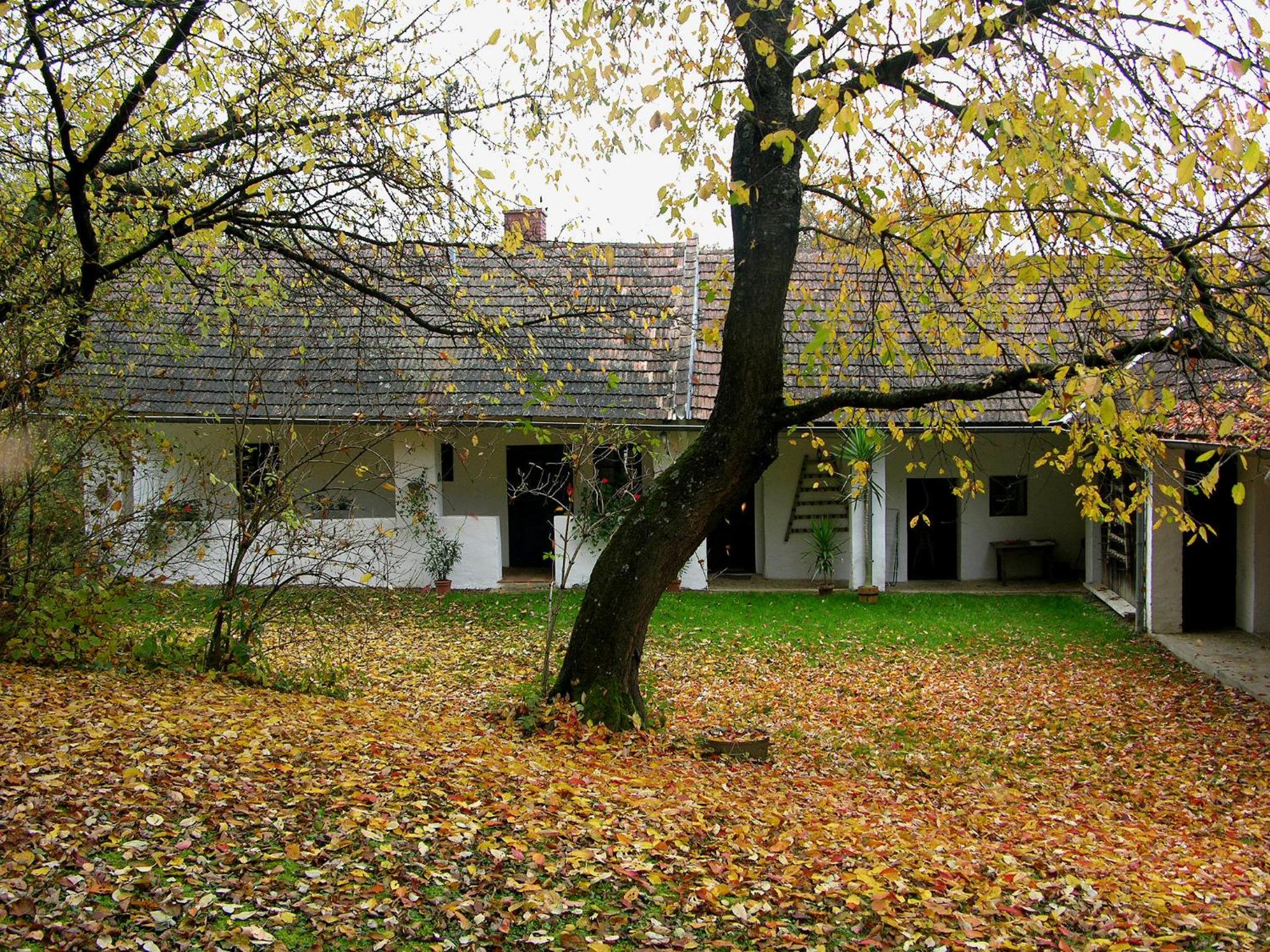 Chalet photo 2