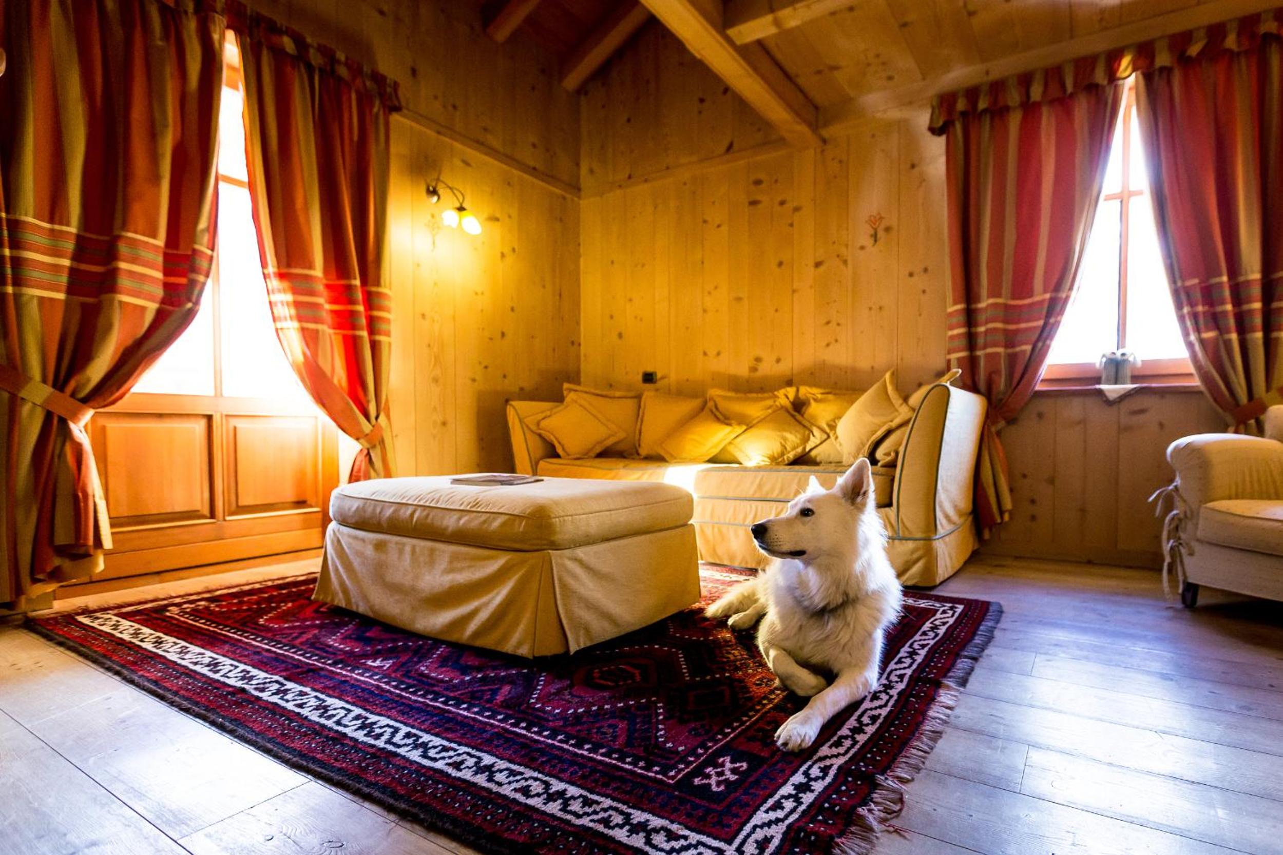 Family Suite - Photo 15
