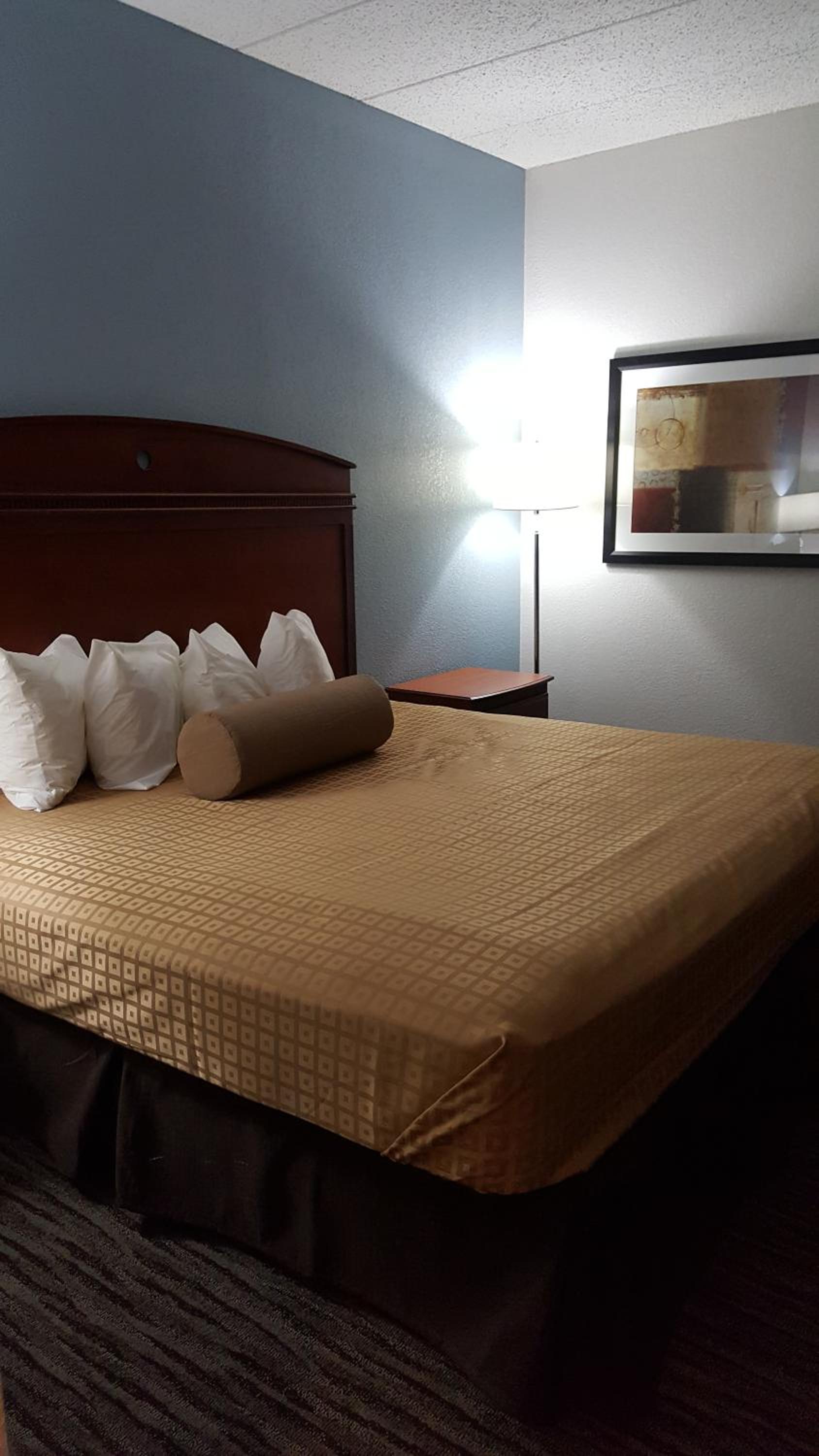 King Room - Disability Access - Non-Smoking - Photo 4