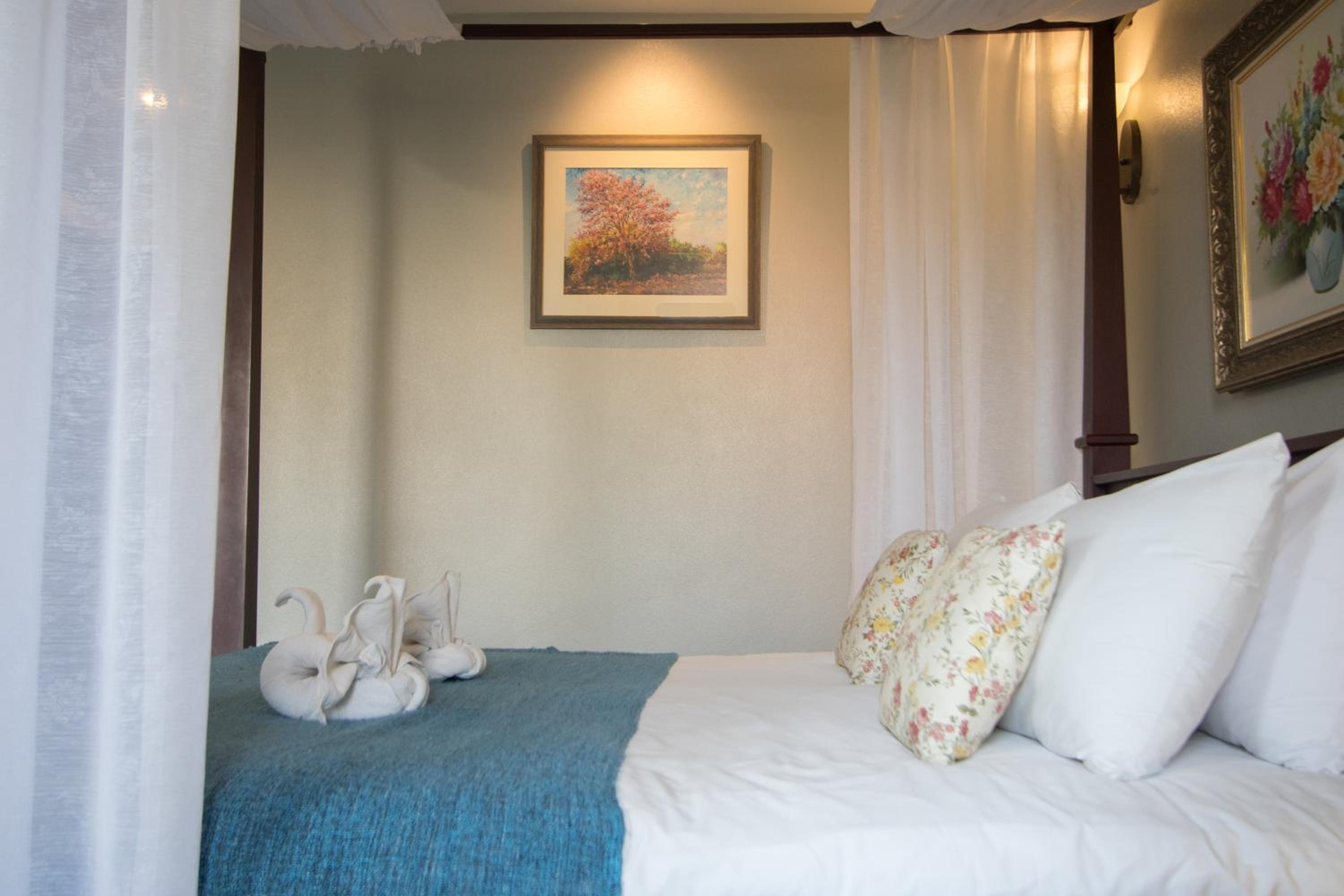 Single Room With Garden View