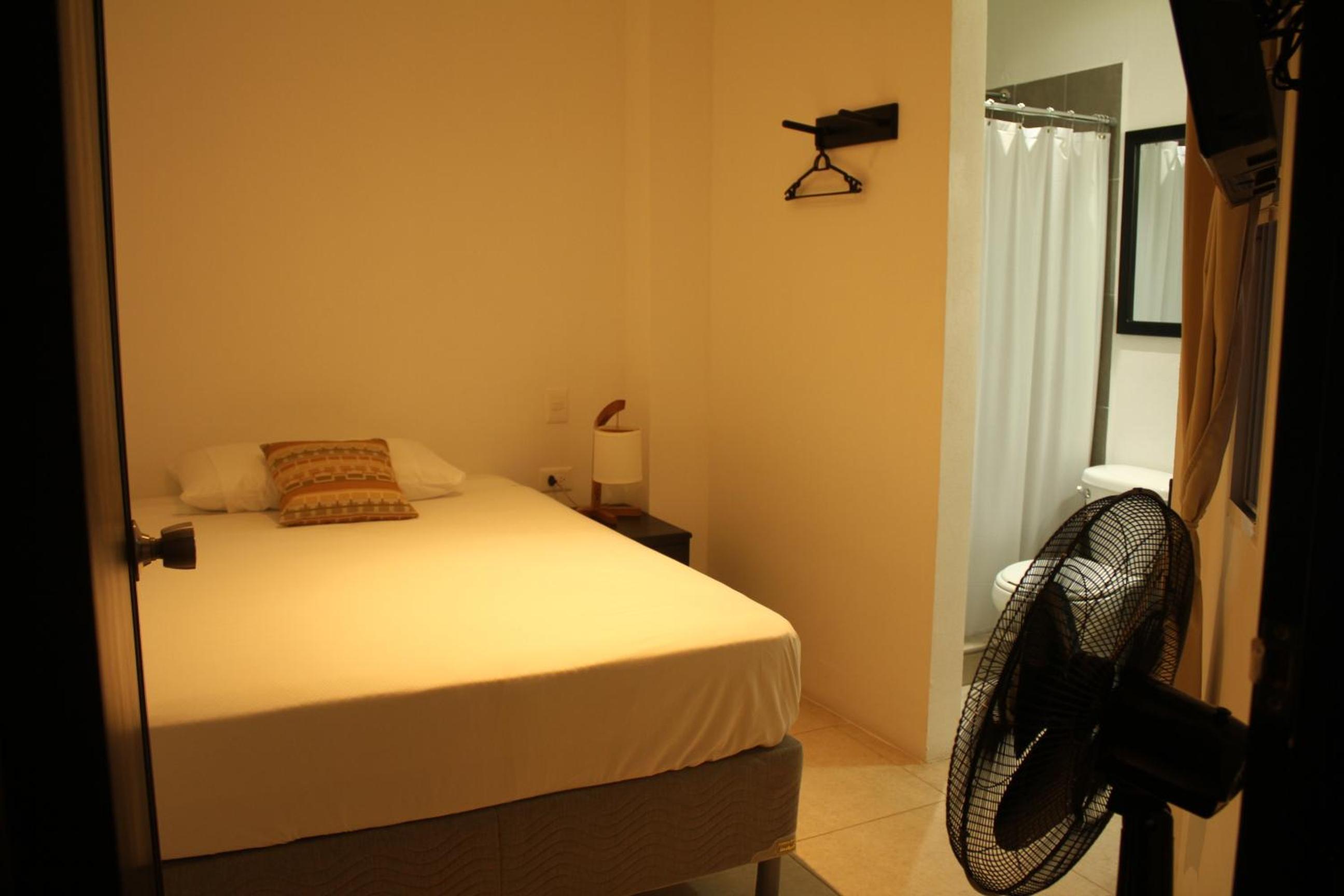 Single Room photo 1