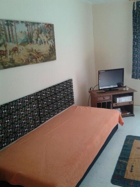 Apartment with Terrace photo 1