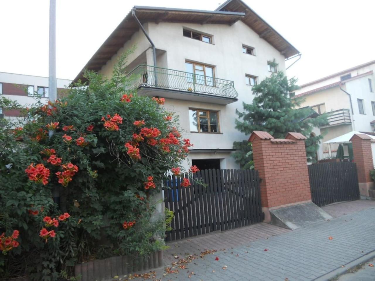 Apartment - Photo 14