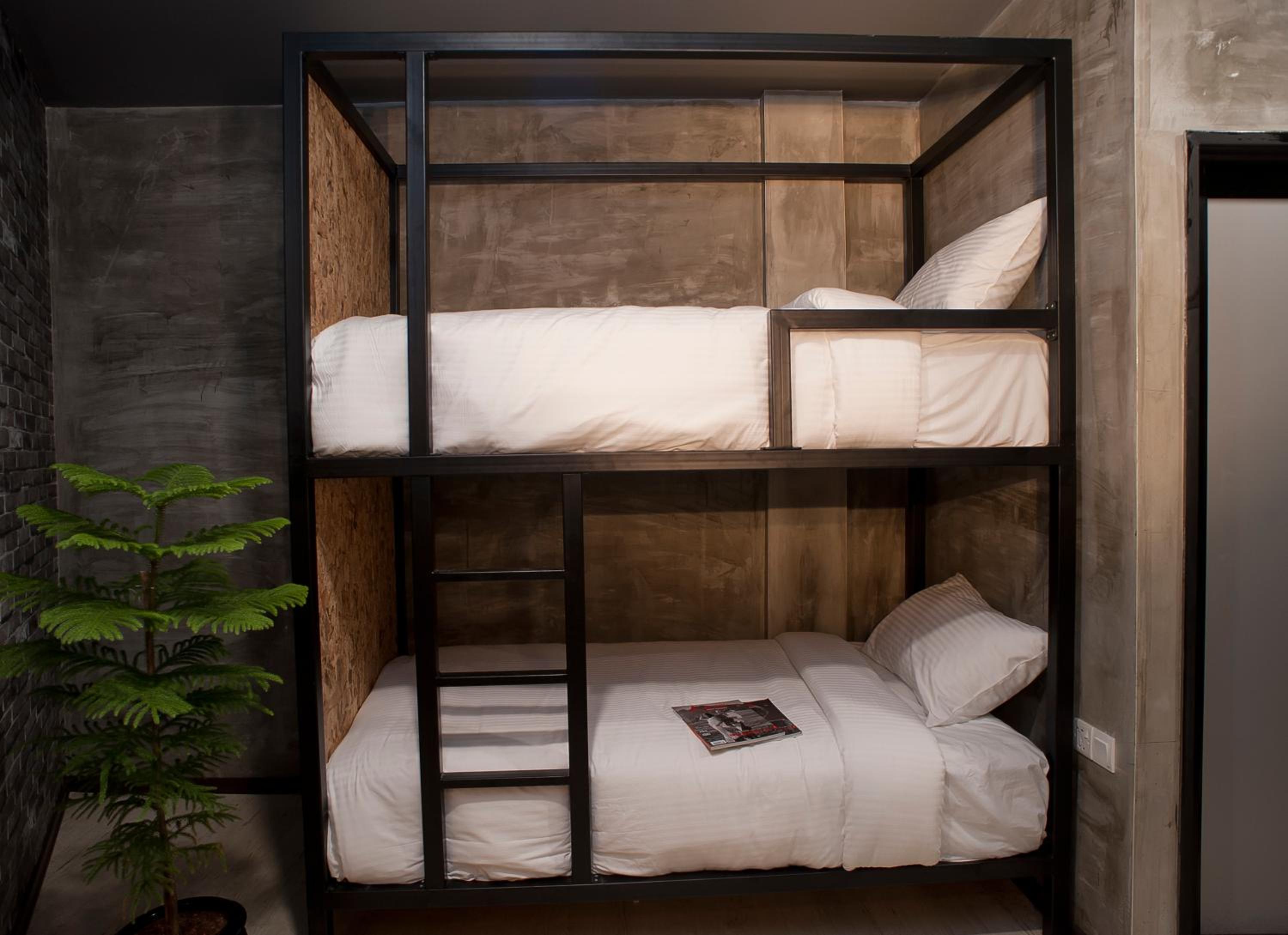 Bunk Bed In Mixed Dormitory Room photo 3