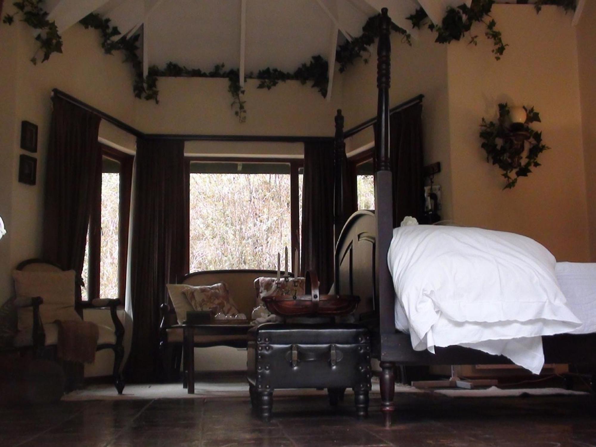 Deluxe Queen Room photo 1