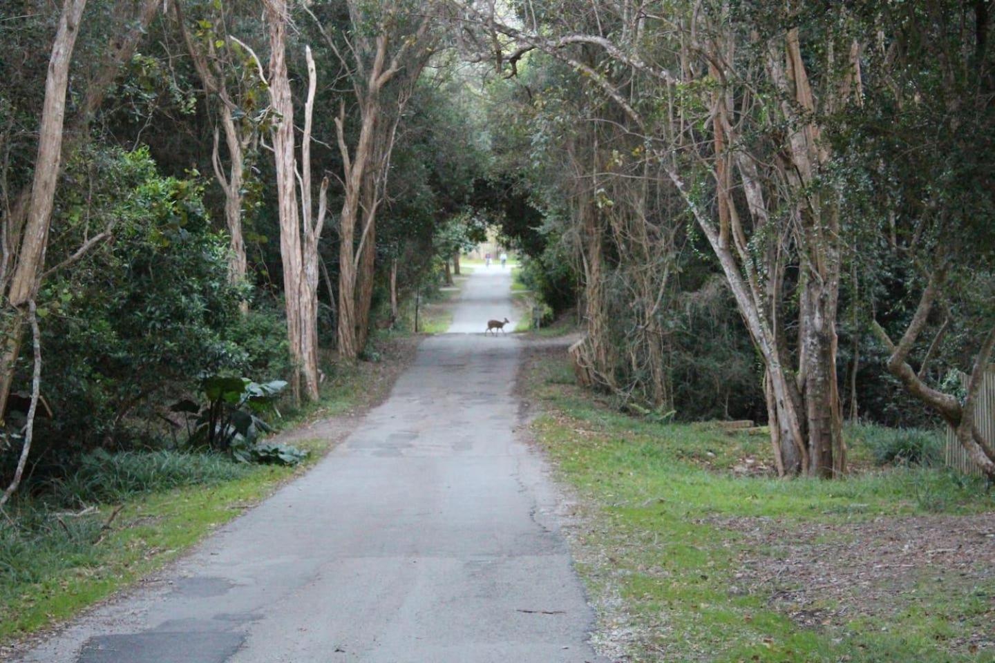Vacation Home - Photo 74